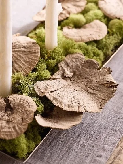 This season, we&rsquo;re savoring more than just food. . . we&rsquo;re soaking in flickering candlelight, mossy textures, and nature brought indoors.

We sat down with Kit from @theperfectpetal + Tara of @fawnsleap, two creatives who turn tables into