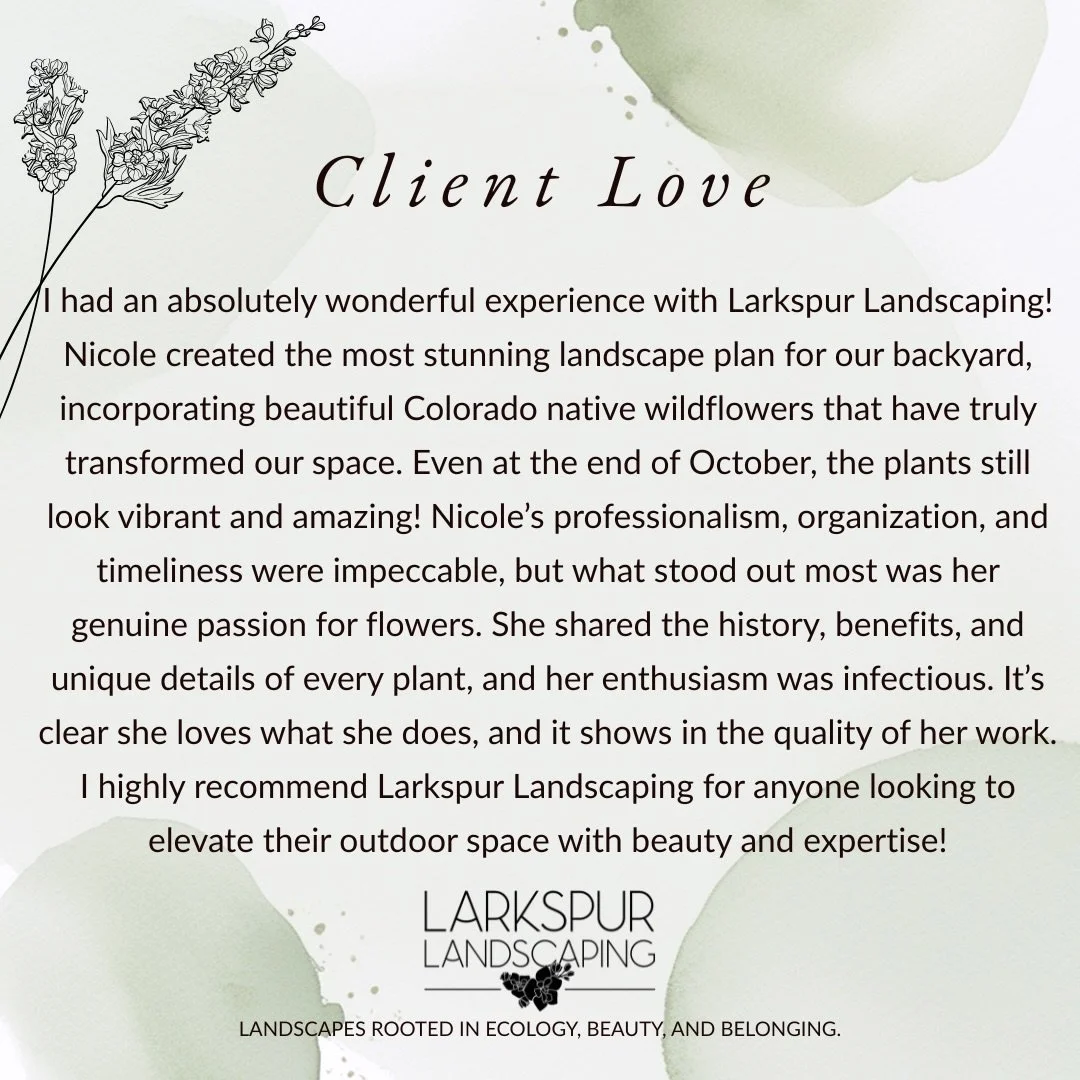 When a landscape still stuns in late October, you know it&rsquo;s built to last. 😉

We loved designing this native garden, thank you for trusting us with your backyard transformation! 💚