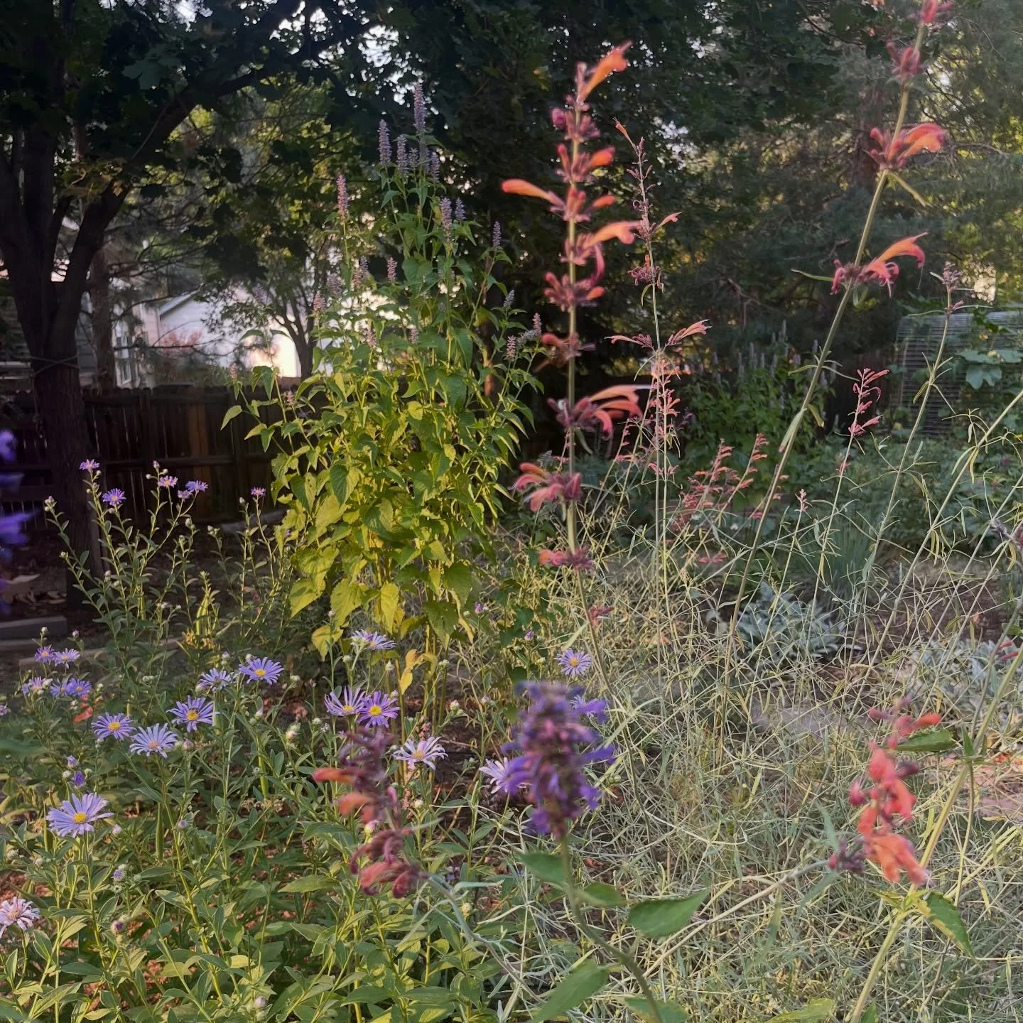 Erie friends (and neighbors&hellip; because Erie is my hometown ❤️)

Your lawn is telling you something right now&hellip;
With irrigation restrictions + almost no precipitation, a lot of lawns just aren&rsquo;t bouncing back this season. And honestly