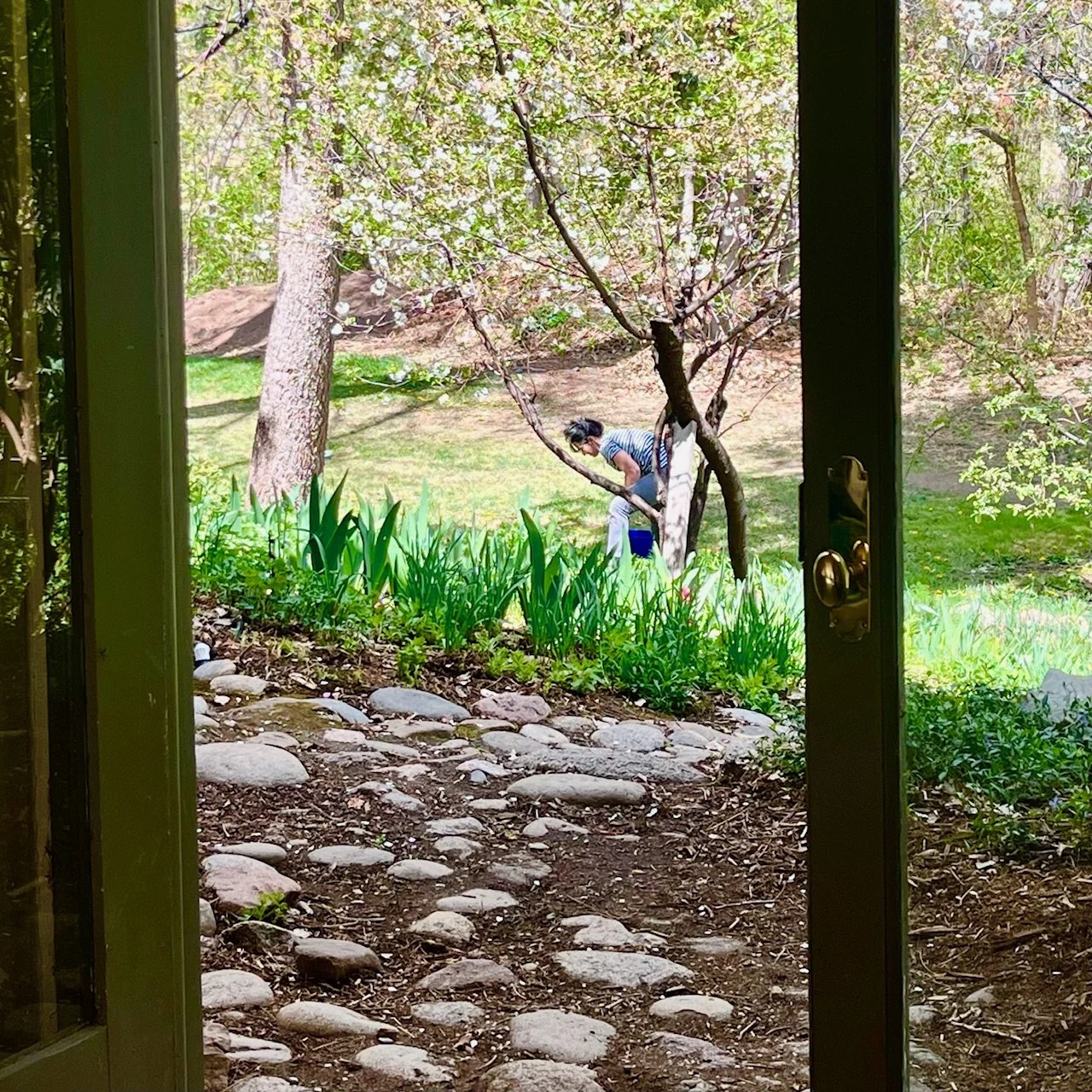 We Will Always Choose Earth - Native Gardens, Bumblebees, and One Good Earth