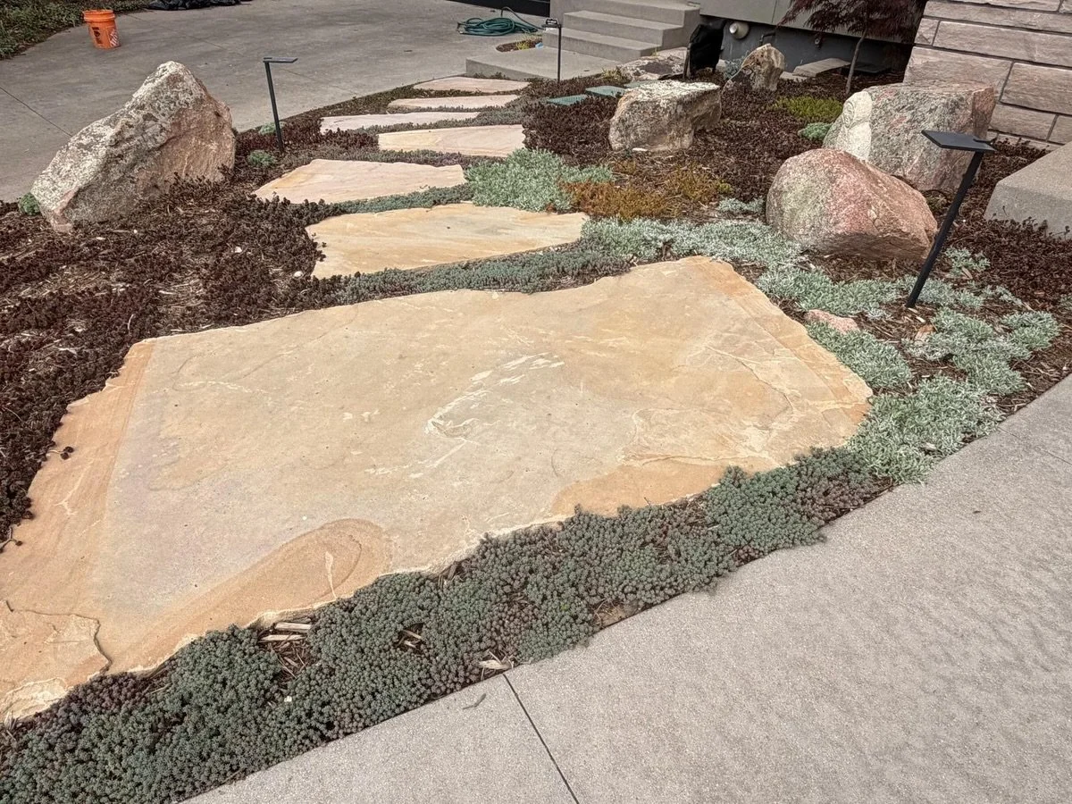 One of the best parts of spring is going back to visit gardens we designed in years past and seeing how they&rsquo;ve grown into themselves.

This sedum tapestry is one we still absolutely love. A living mosaic of Angelina, Dragon&rsquo;s Blood, Plum