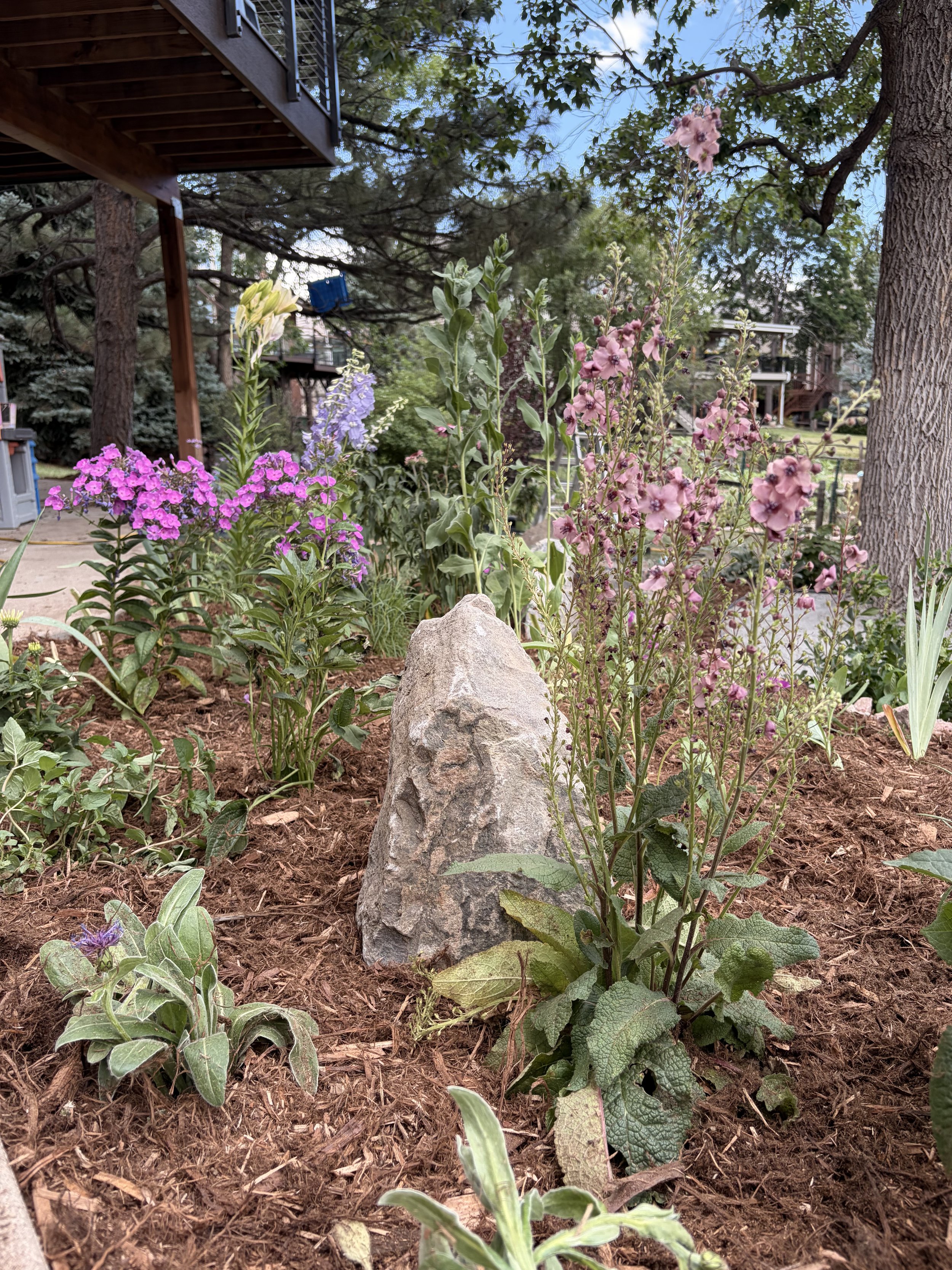 Removing Your Lawn in Denver? Please Don’t Replace It With a Moonscape