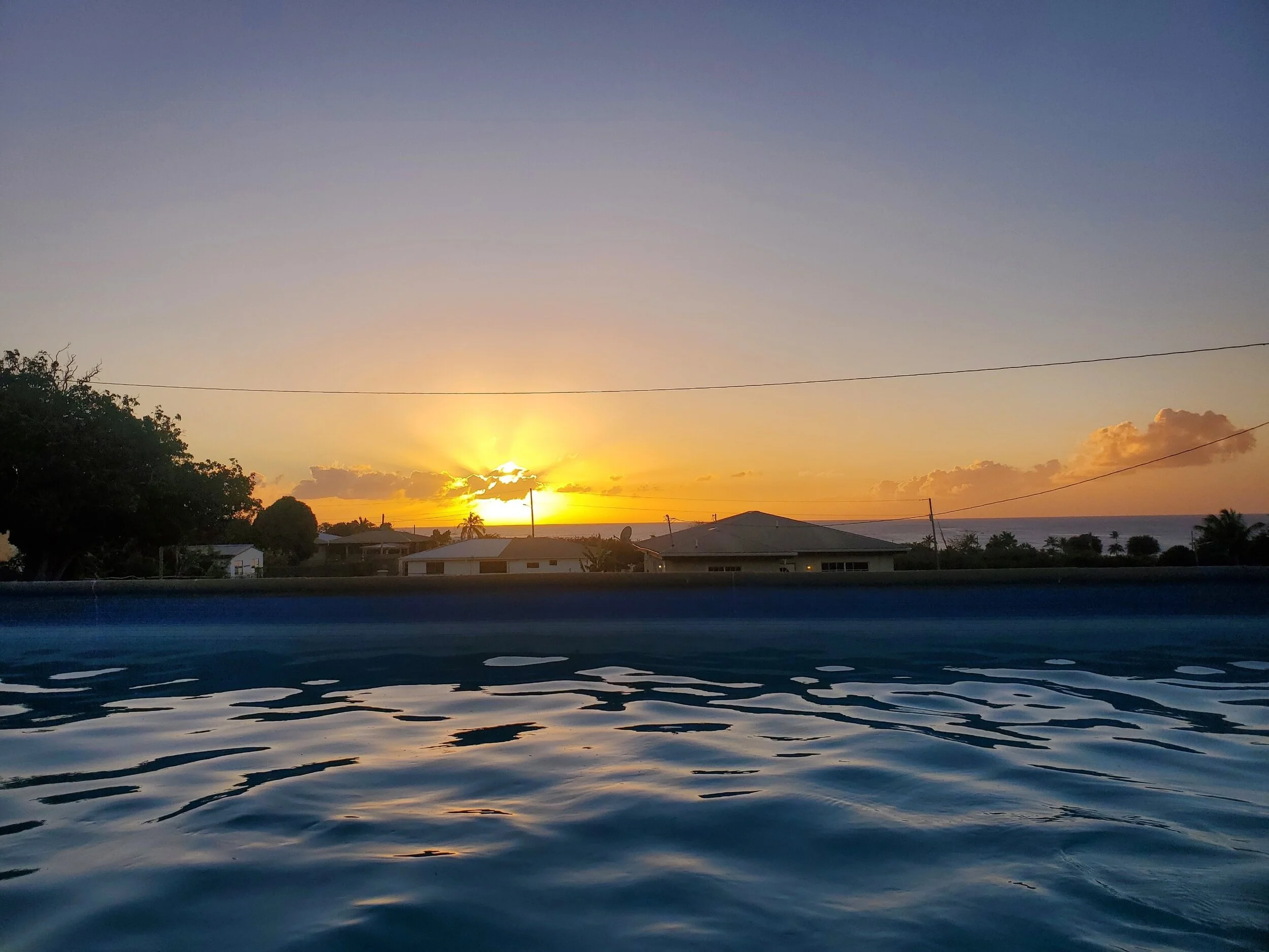 Sunset view over rooftops with a foreground of rippling water, silhouetted trees, and a clear sky.