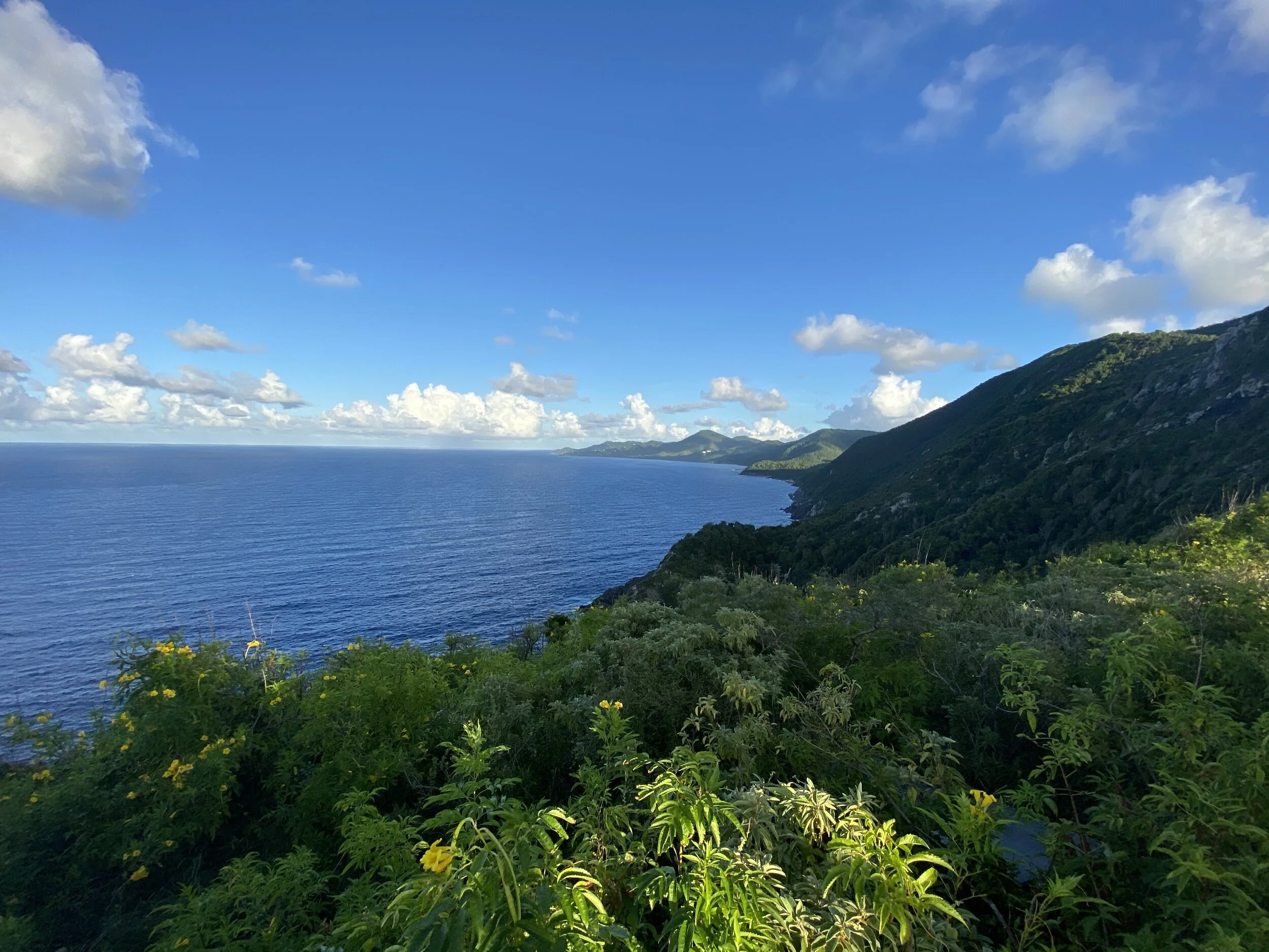 Coastal landscape with blue sea, lush green hills, and a vibrant sky with fluffy clouds.