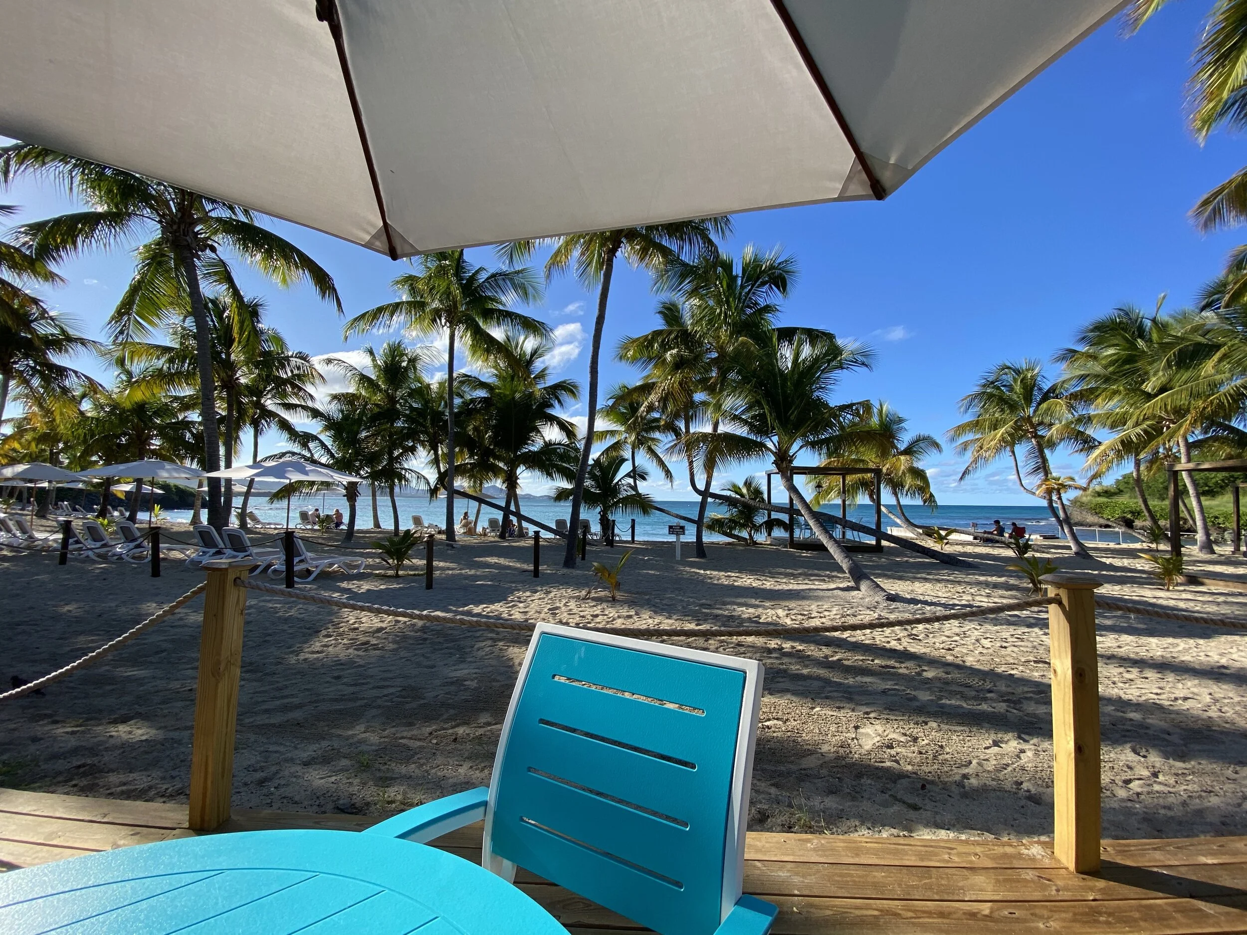 Tropical beach scene with palm trees, lounge chairs, a wooden deck, turquoise table and chairs, and a nearby ocean view under clear blue skies.