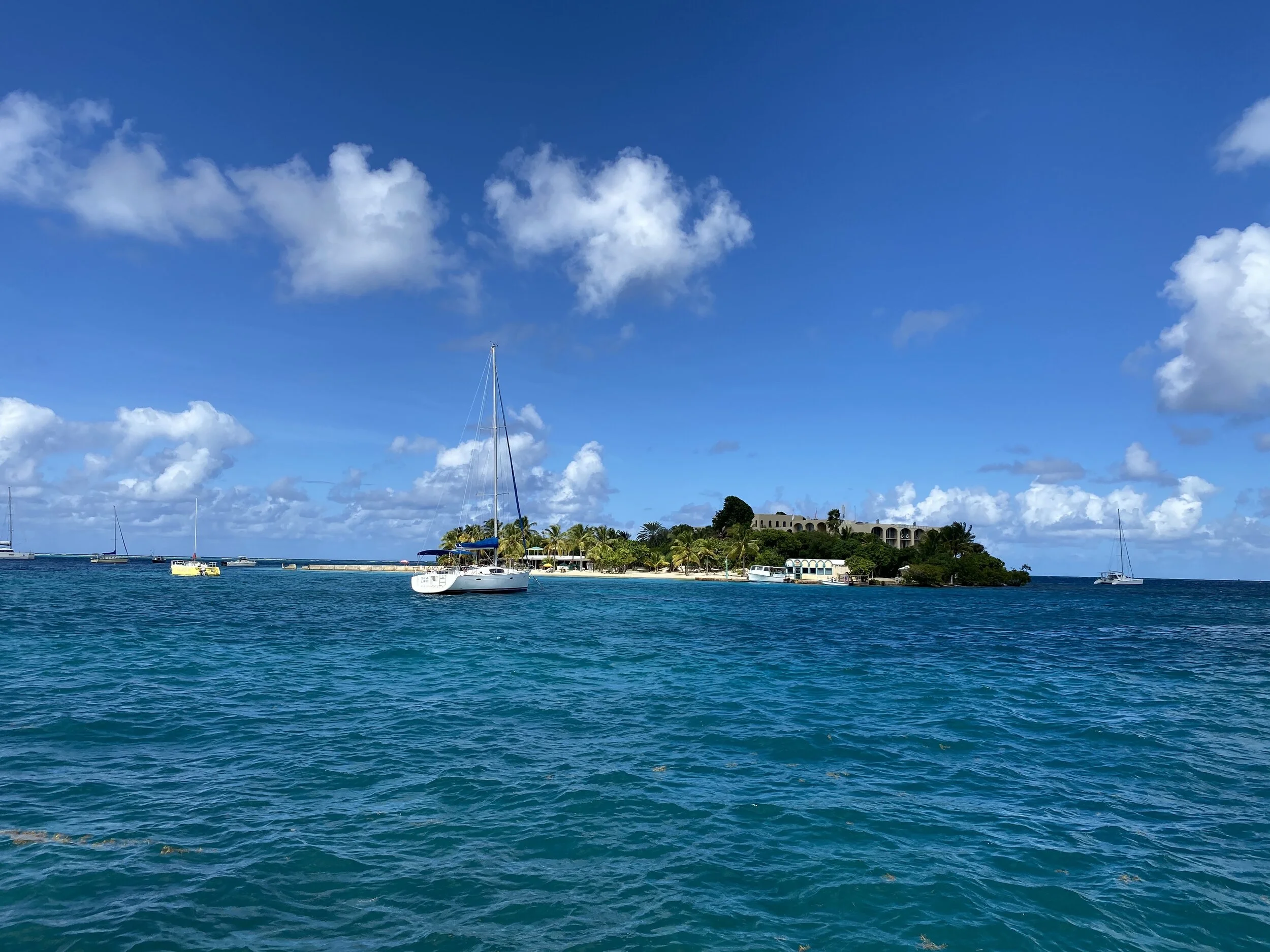 Tropical island with sailboats in blue ocean, clear skies, palm trees, and a building.