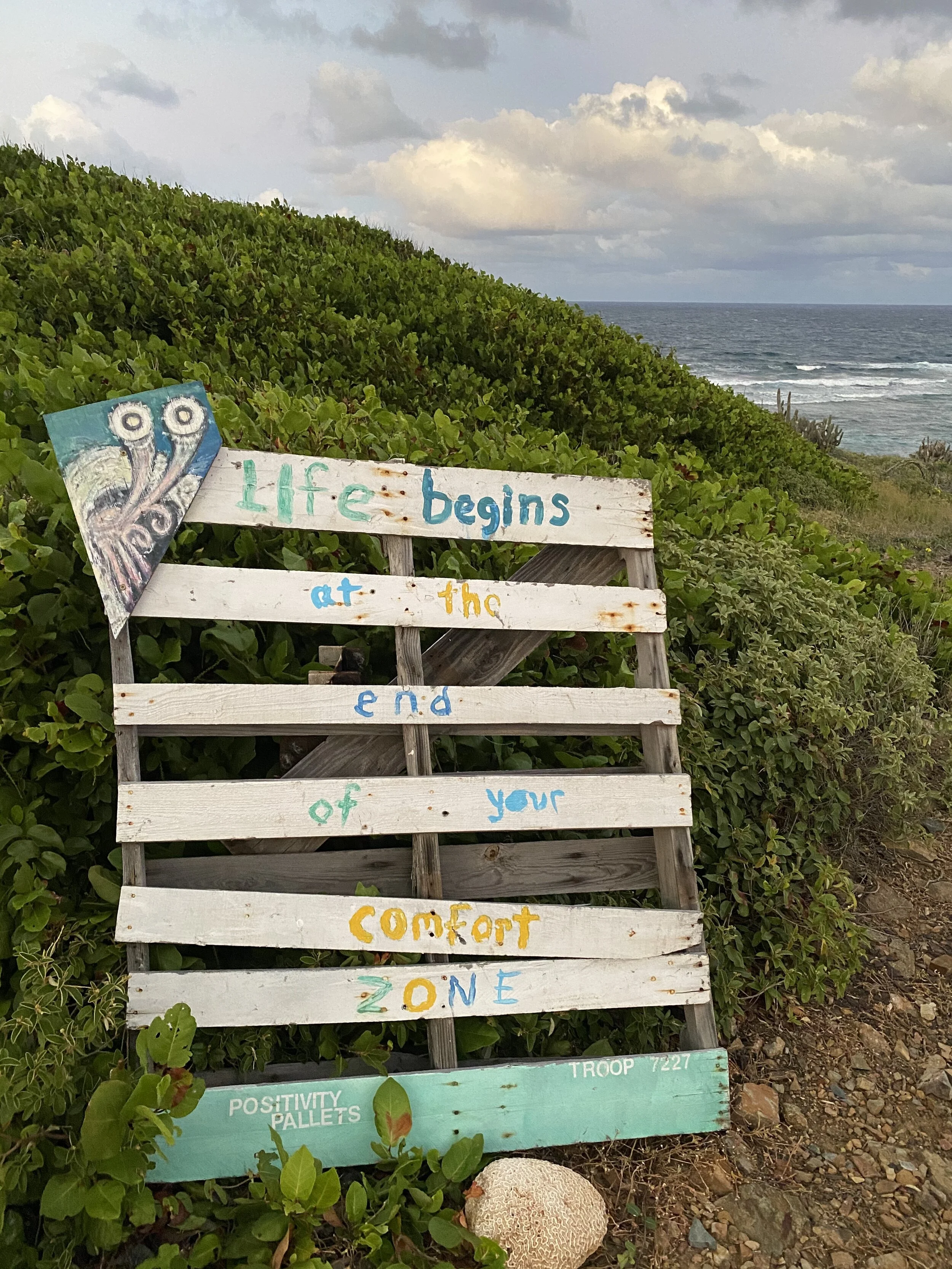 A wooden pallet sign with the message "Life begins at the end of your comfort zone" painted on it, set against a backdrop of greenery and an ocean view.