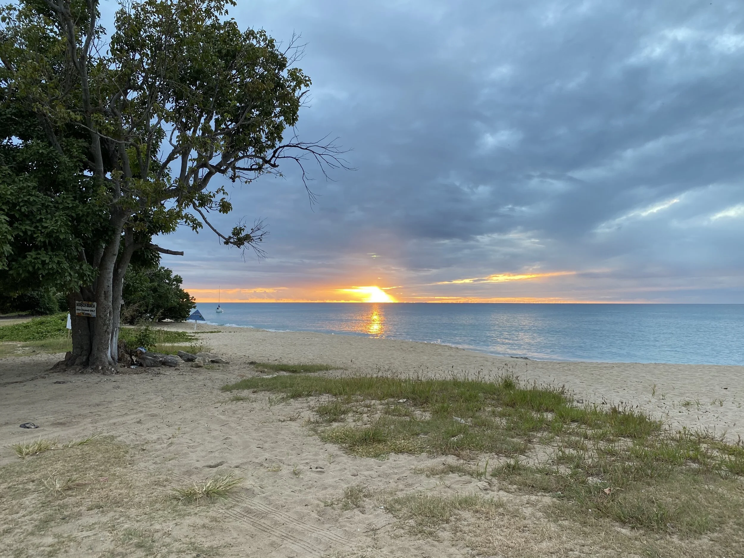 A serene beach scene at sunset with a large tree in the foreground, sandy shoreline, and a calm ocean. The sky is partially cloudy, with the sun setting on the horizon, casting warm hues in the sky and over the water. A small sailboat is visible in t
