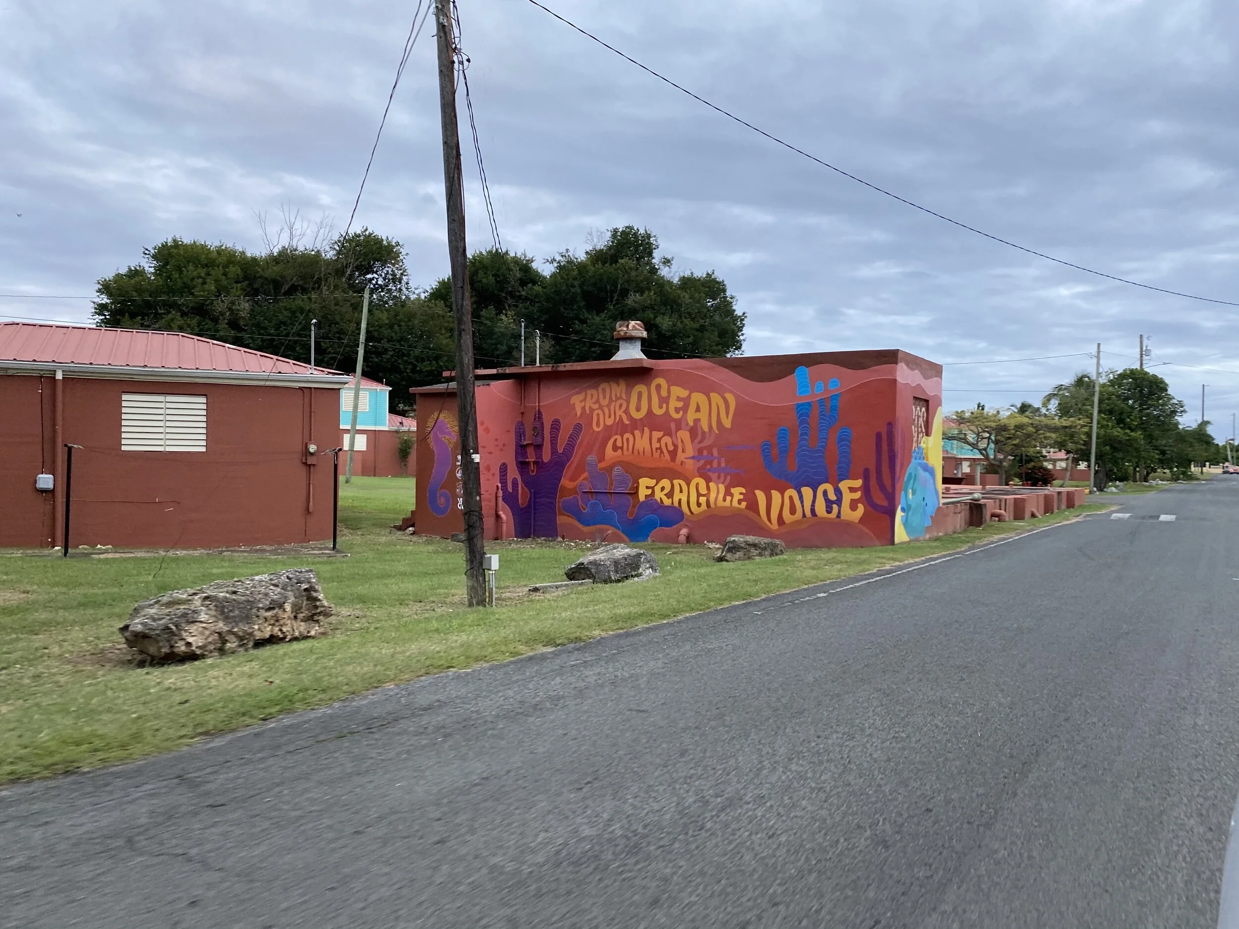 Colorful mural on a building wall along a road, featuring ocean-themed artwork and text promoting environmental awareness. The building is brown with a red roof, and the mural includes images of marine life and the phrase "From our ocean comes a frag