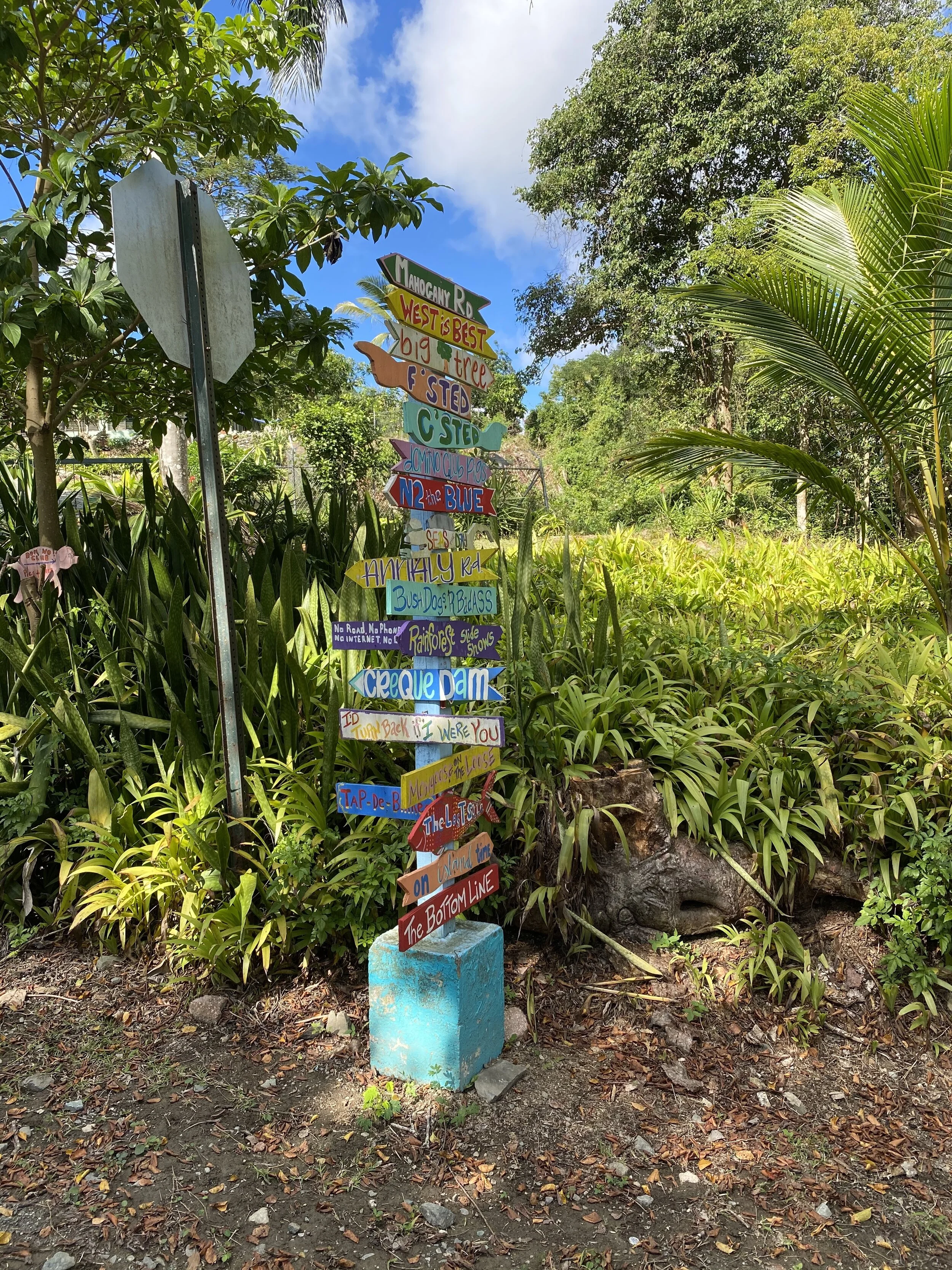 Colorful wooden signpost with multiple directional arrows, each with different locations, surrounded by lush greenery and trees.