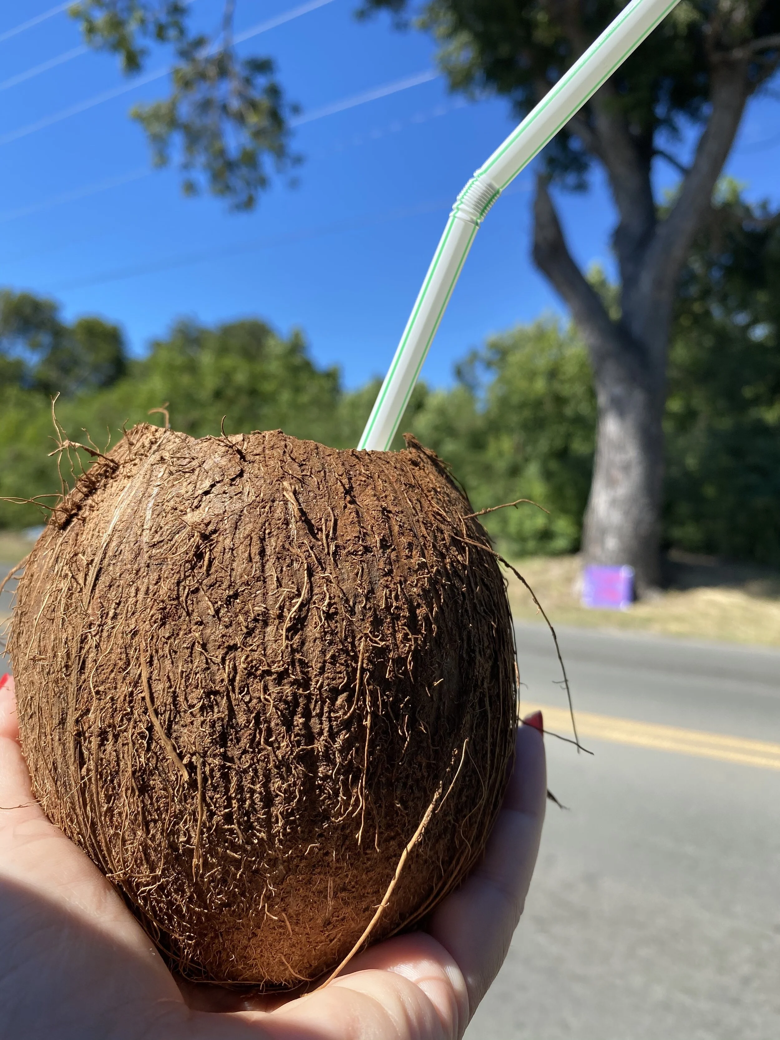 Person holding a whole coconut with a straw inserted, outdoors.