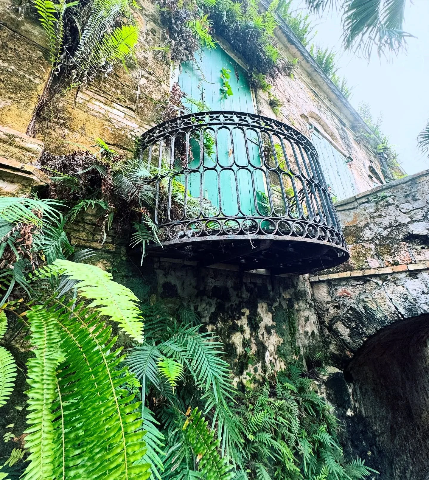Exploring the island and getting a glimpse of times passed. #explore #history #caribbean #sugarcanemill #stx #usvi #saintcroix
