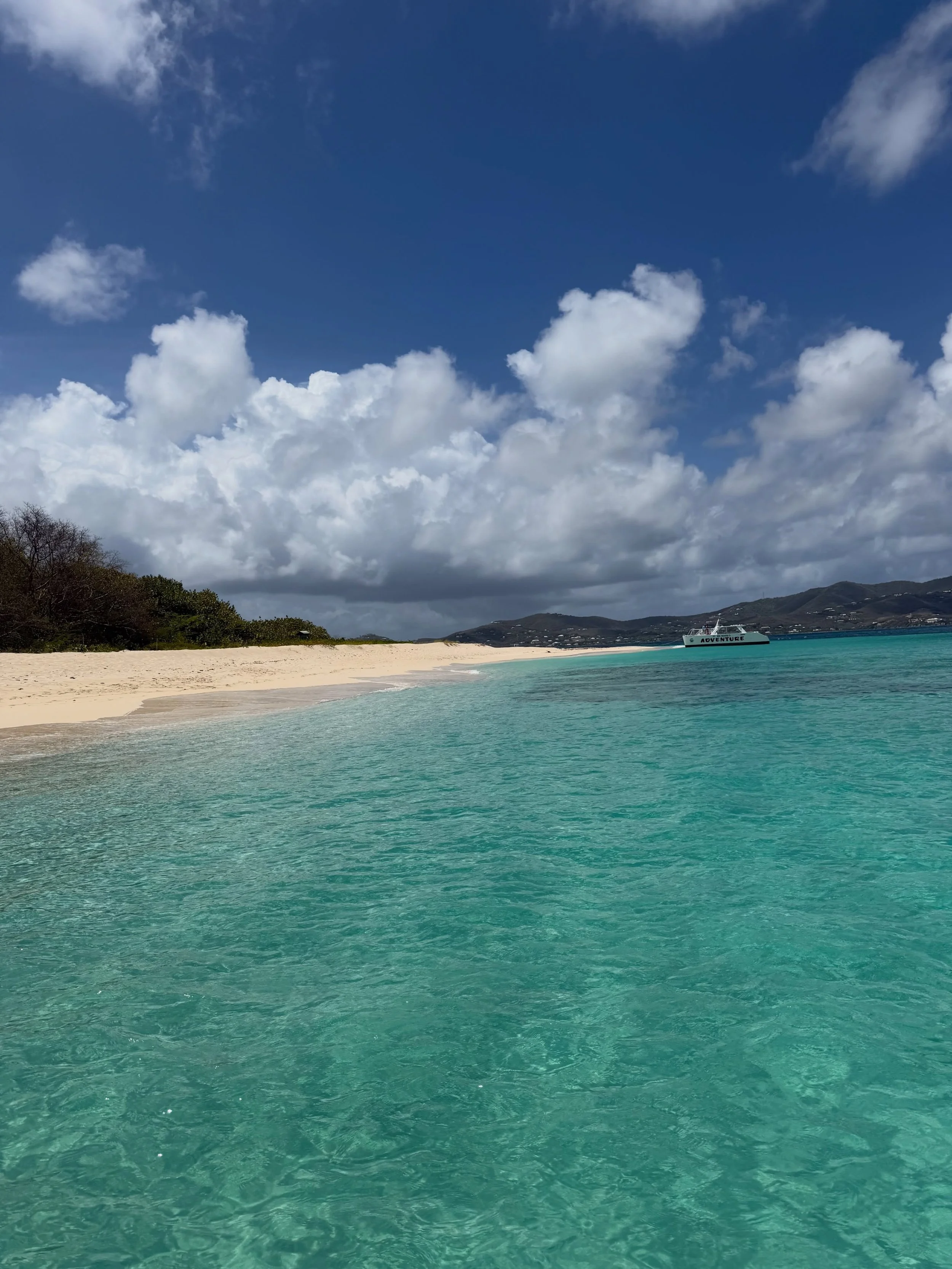 @bigbeardsadventuretours full day lunch and @mutinyislandvodka punch snorkel tour is a blast! #mahi #buckisland #usvi #stx #caribbean 🐠 🐈 🍹 🛥️ 🌞 🌊 🏝️