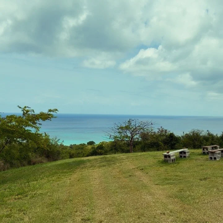 Thank you, Steve, for making a &ldquo;dam&rdquo; great trail and @alissab_customjewelry for showing me the way! Love the amazing white sand views of @stxturtles at Sandy Point! Looking forward to exploring even more! #crequedam #usvi #saintcroix #car