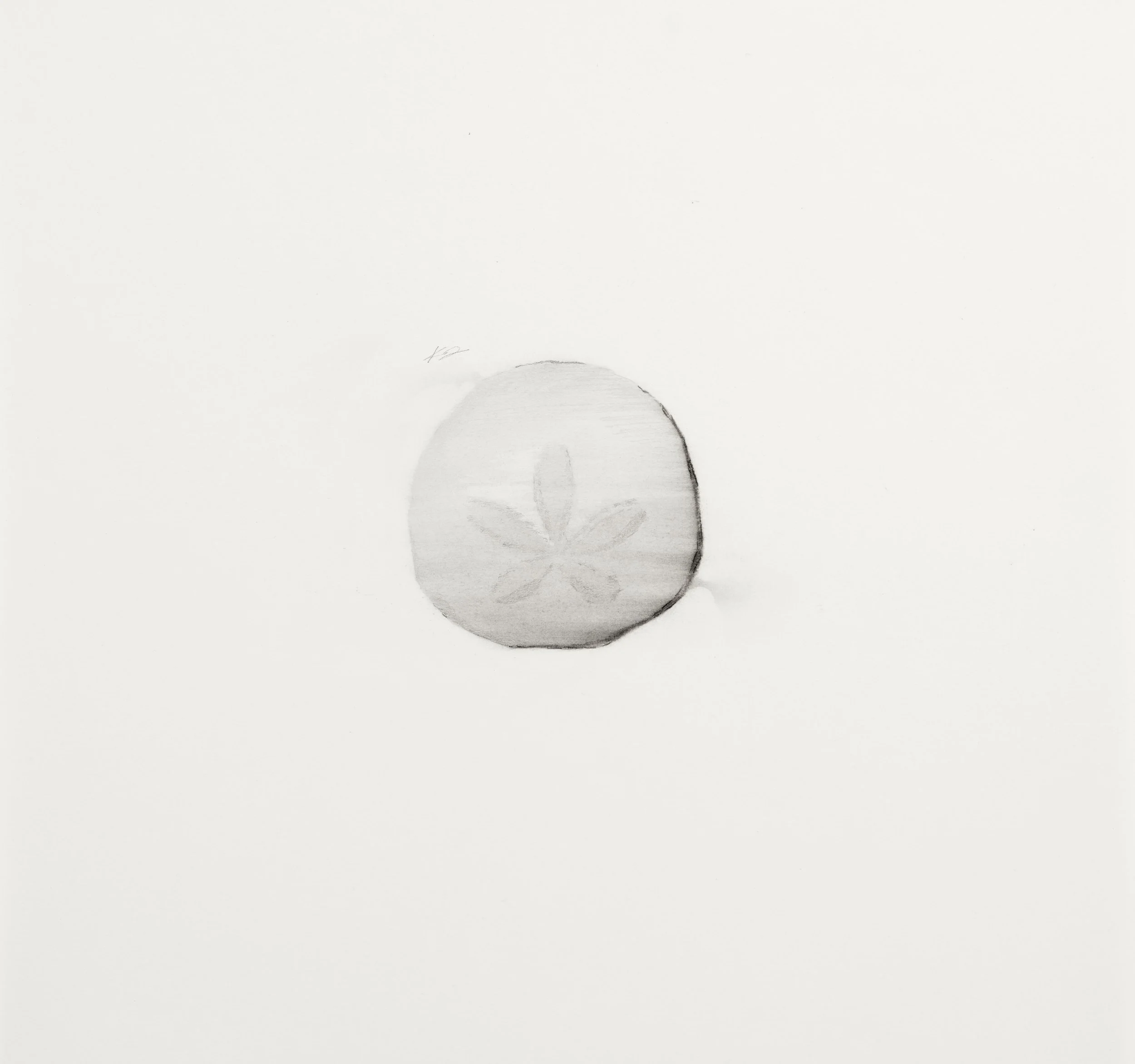 'Vacancies - sand dollar ' framed, 17"x17" $1,000