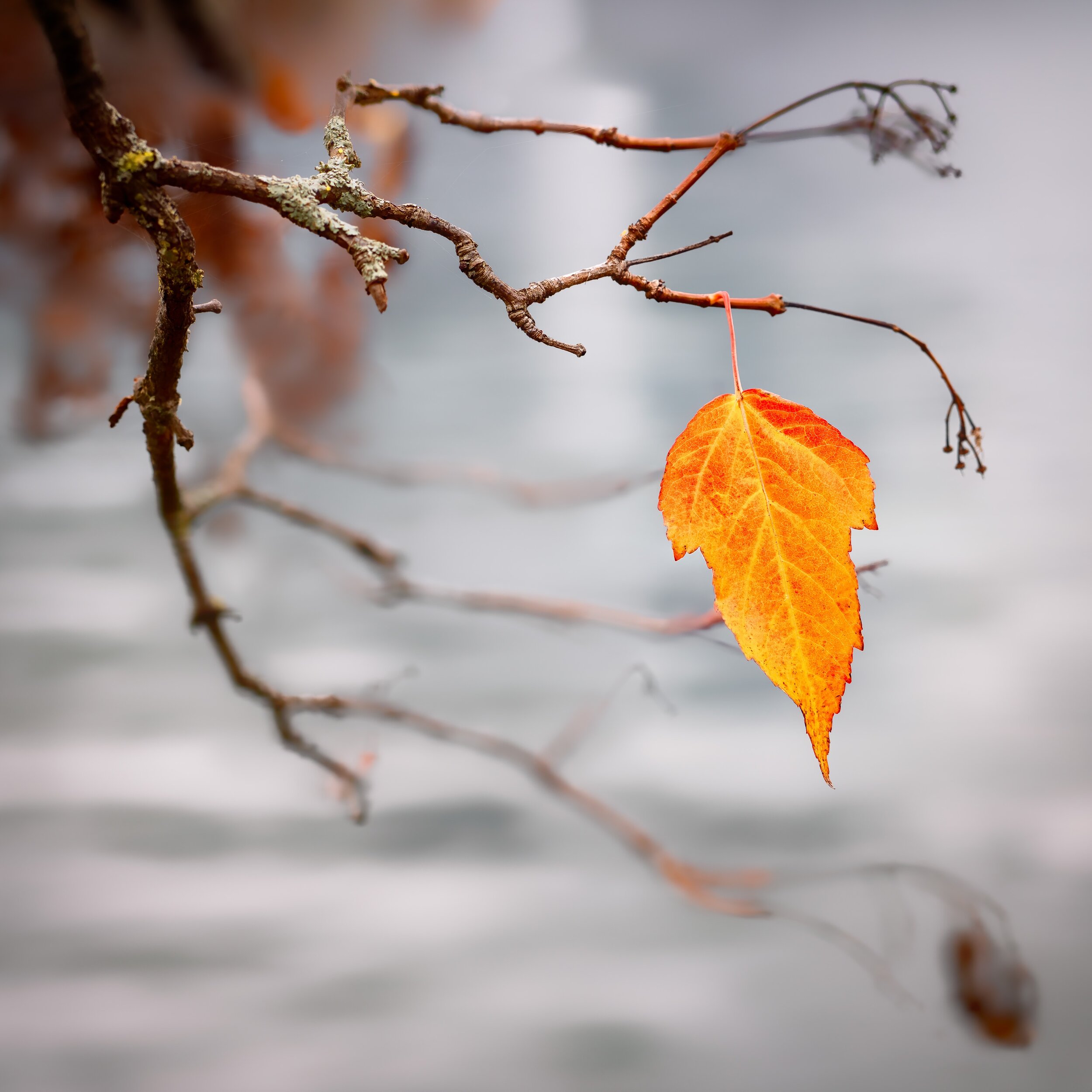 The Paradox of Permanence