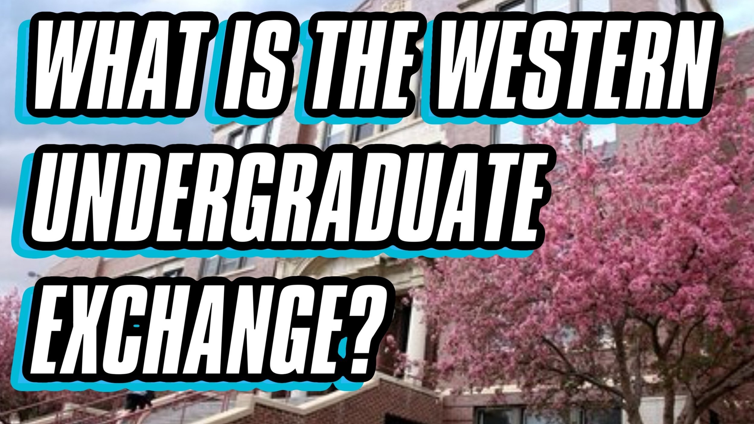 THE WESTERN UNDERGRADUATE EXCHANGE.