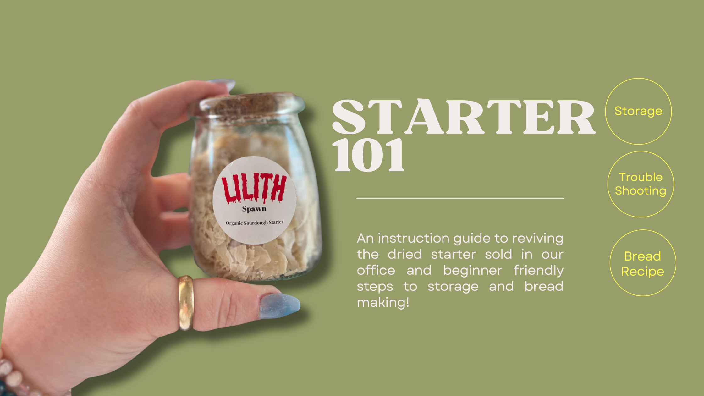 Sourdough Starter 101: What to Know Before You Bake In Denver