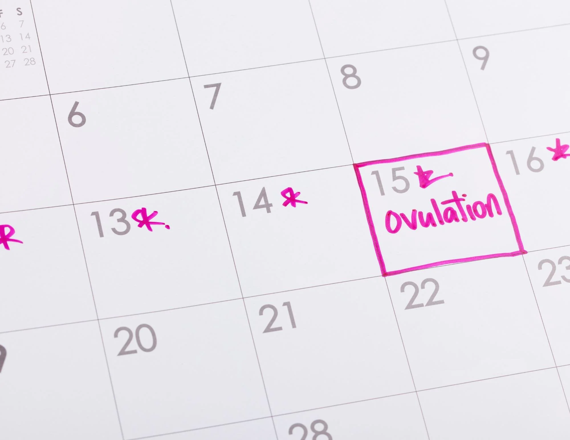 Calendar with the 15th circled as Ovulation Day