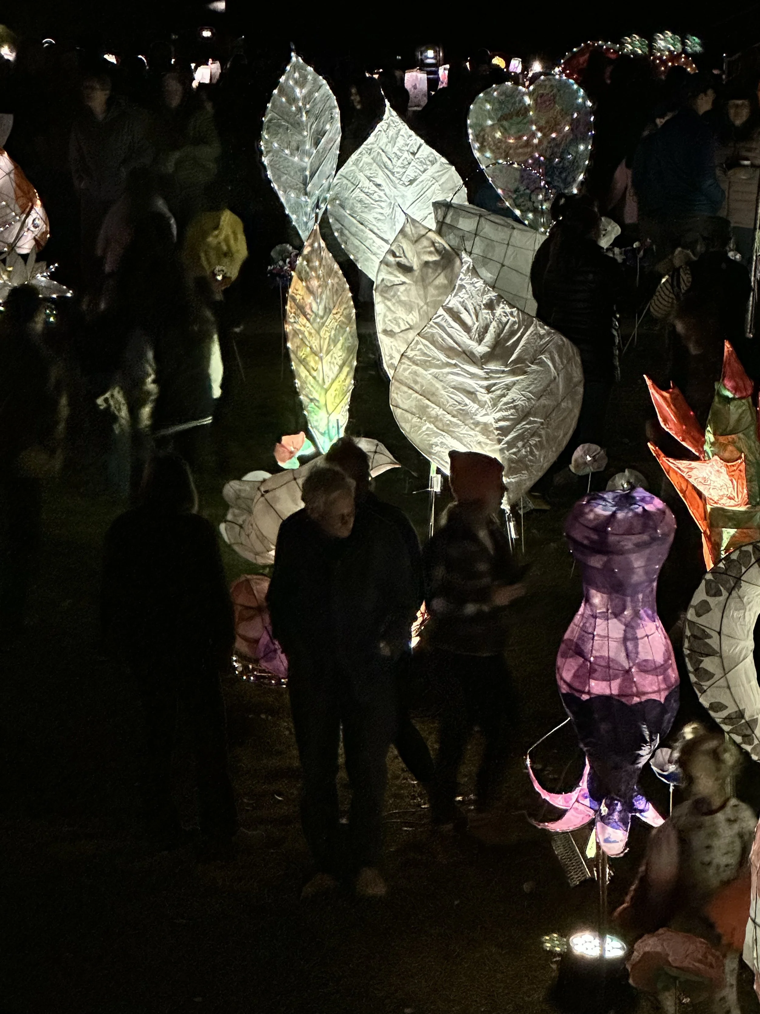 JH Public Art_Garden of Lanterns_Youcha-10.jpeg