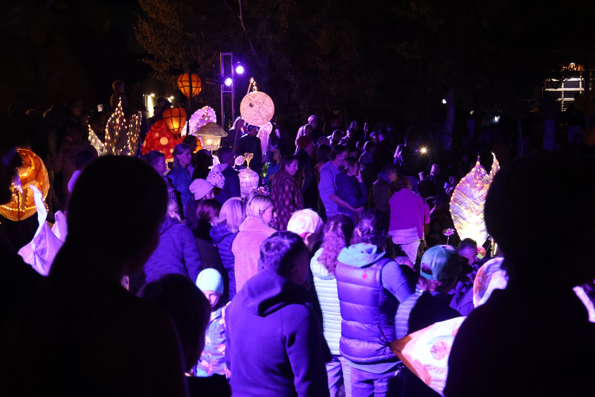 JH Public Art_Garden of Lanterns_Youcha-30.JPG