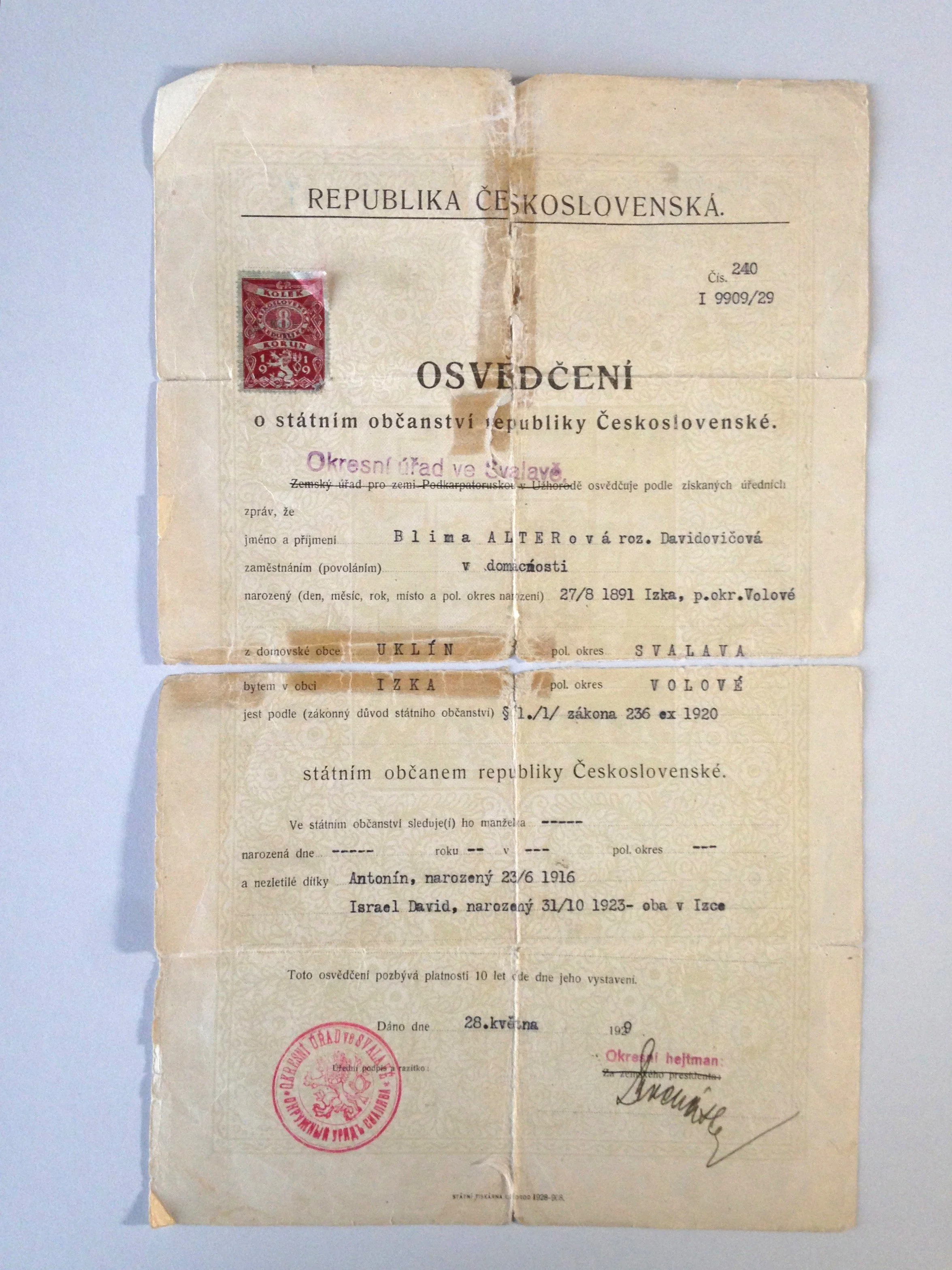 Passport_BT.1.JPG