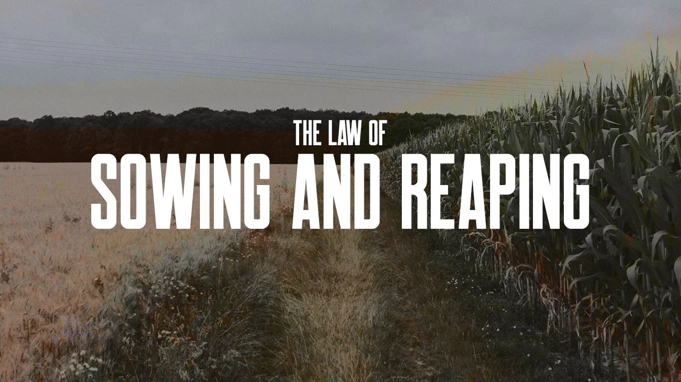 The Law of Sowing and Reaping
