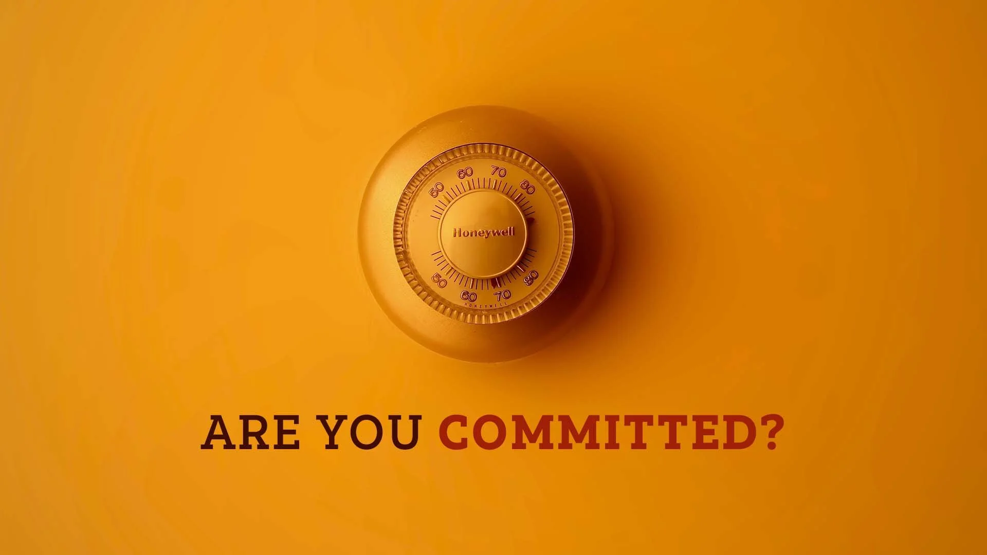 Are you Committed?