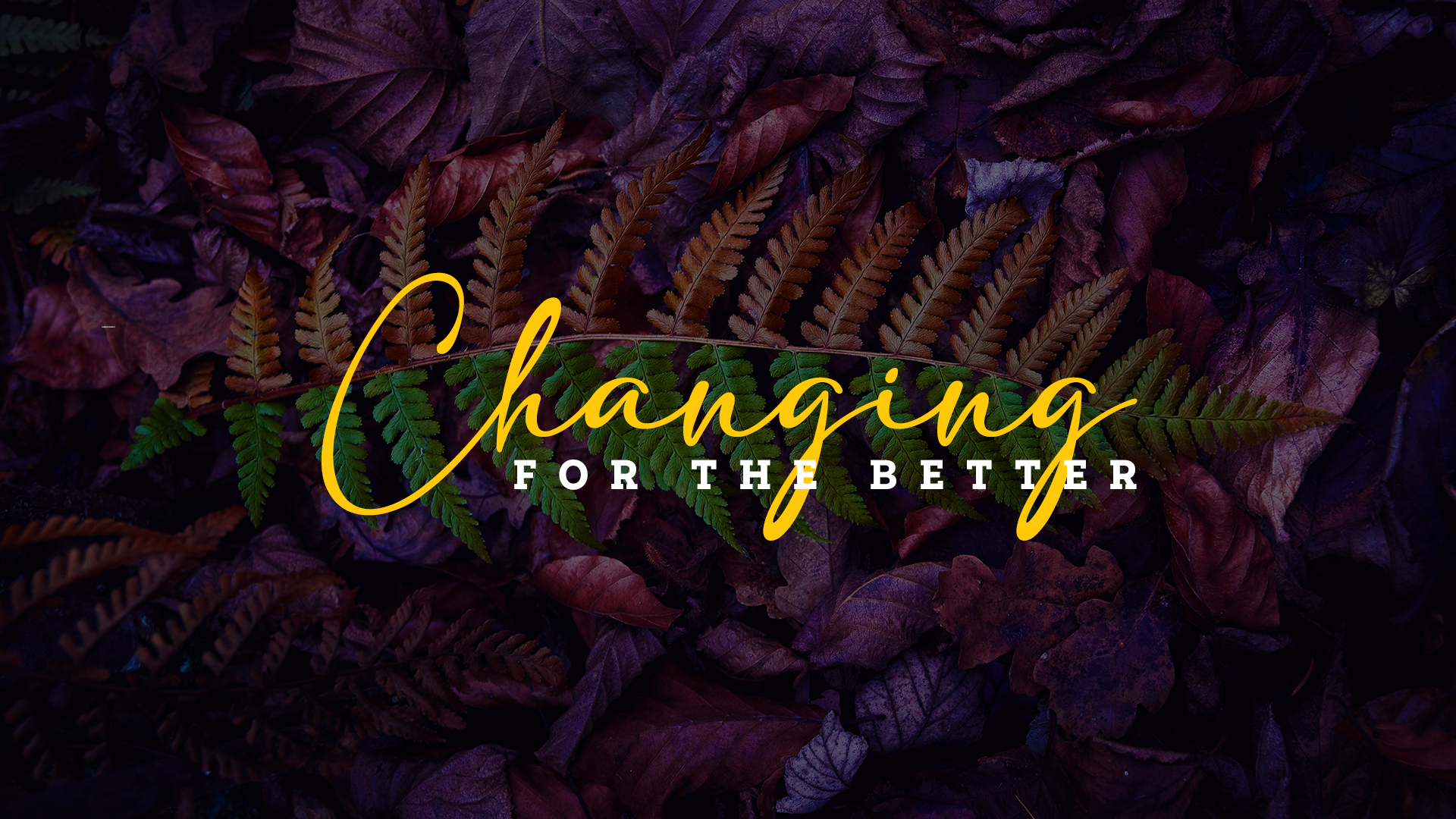 Changing for the Better
