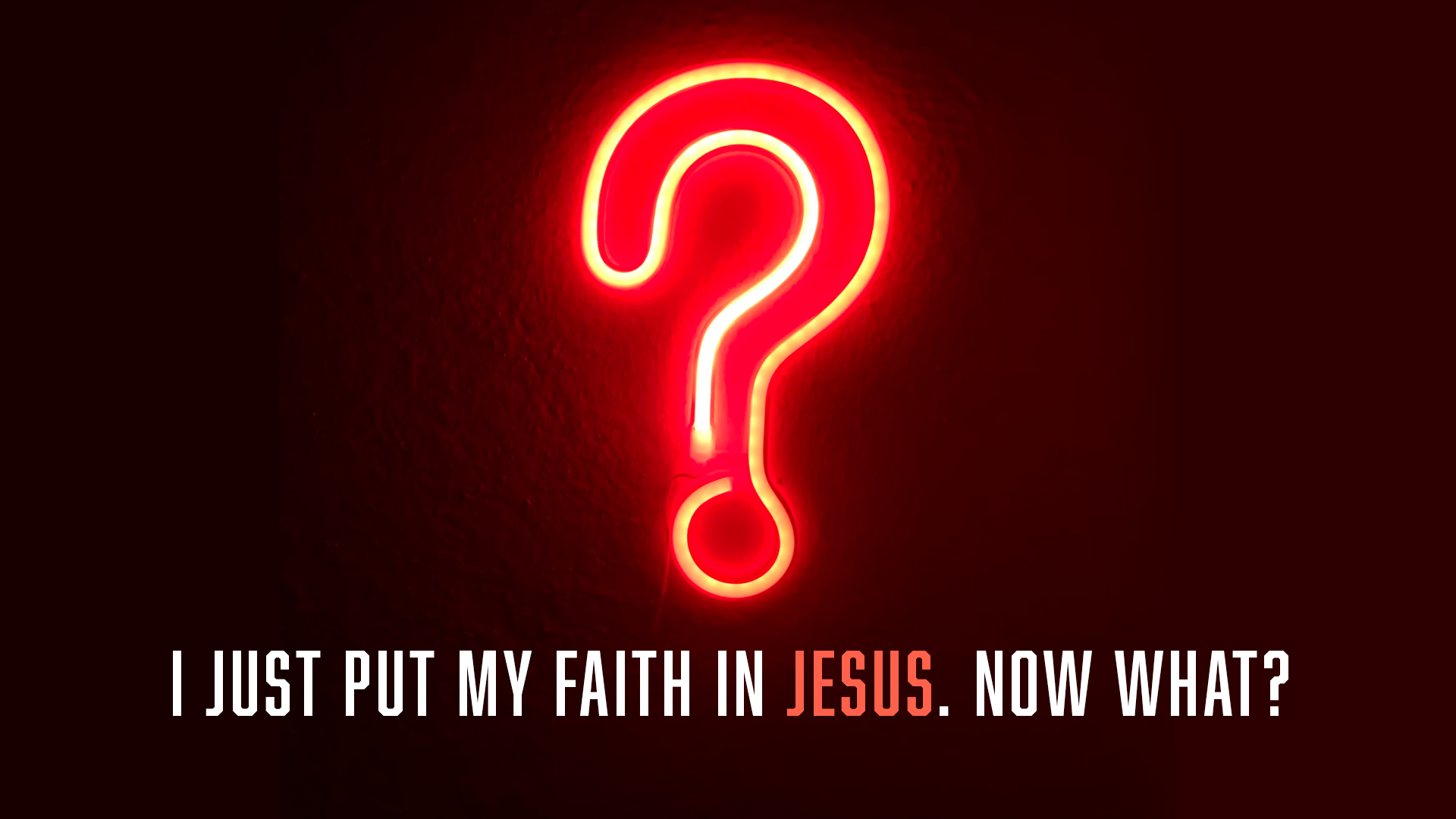 I Just Put my Faith in Jesus. Now What?