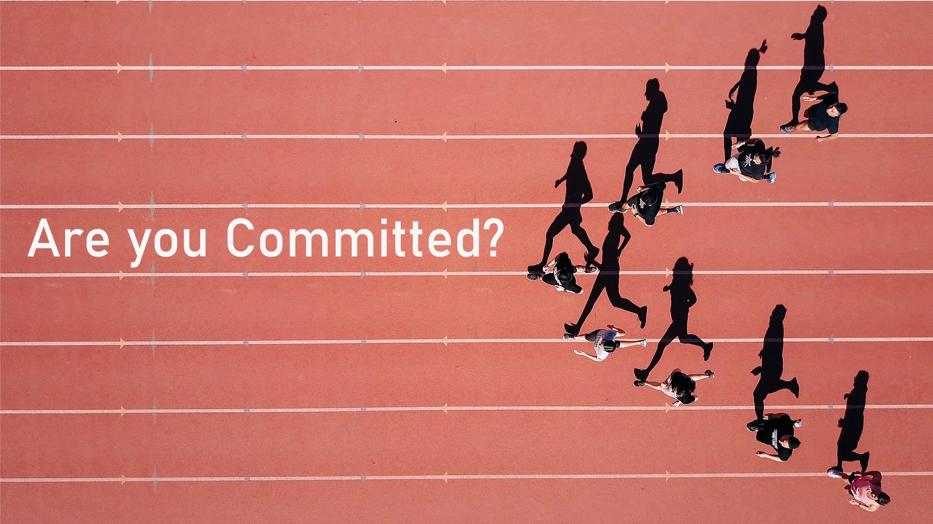 Are you Committed?