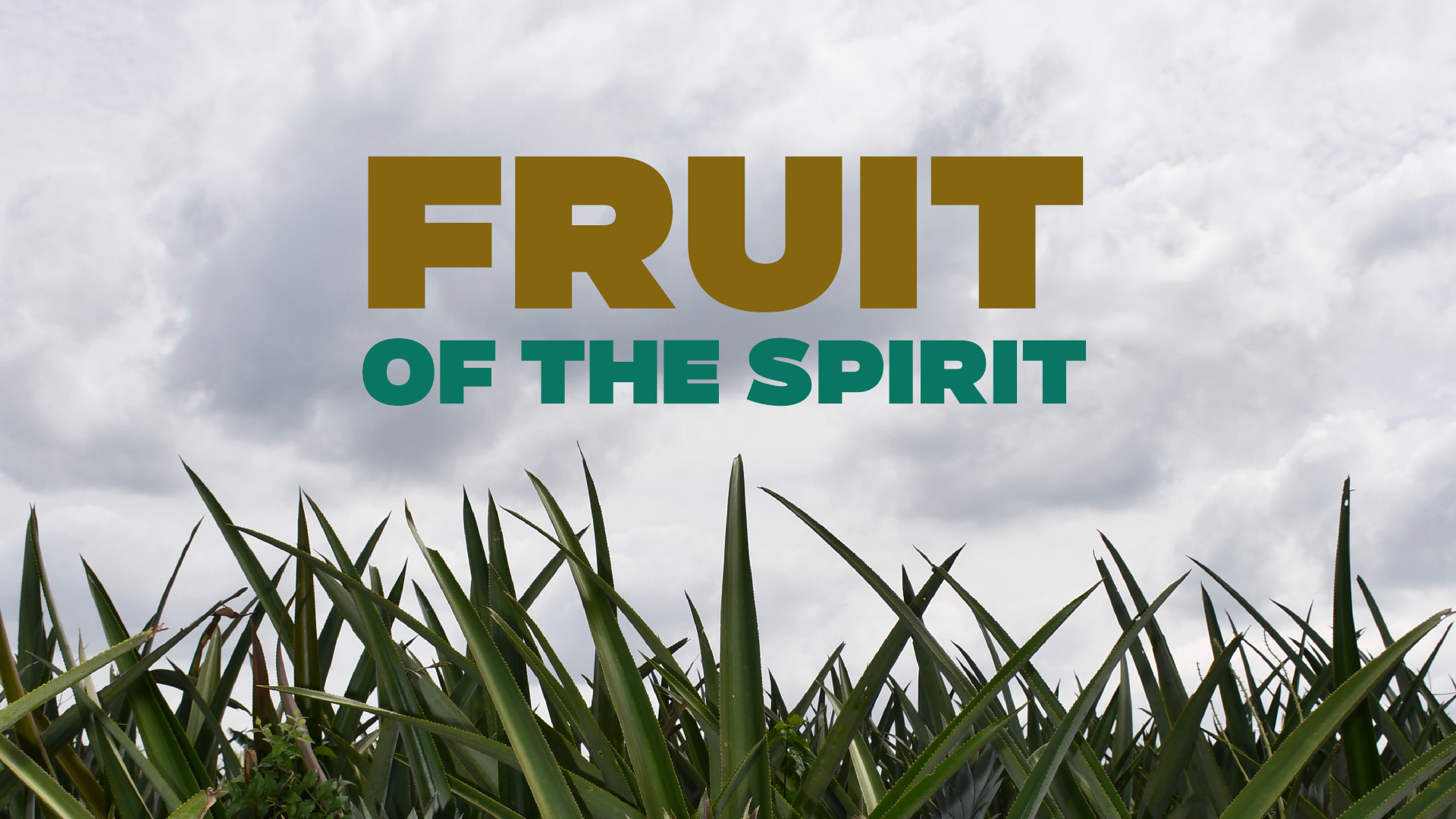 Fruit of the Spirit