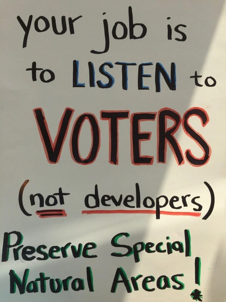 Rochester Township election results — Save The Rookery