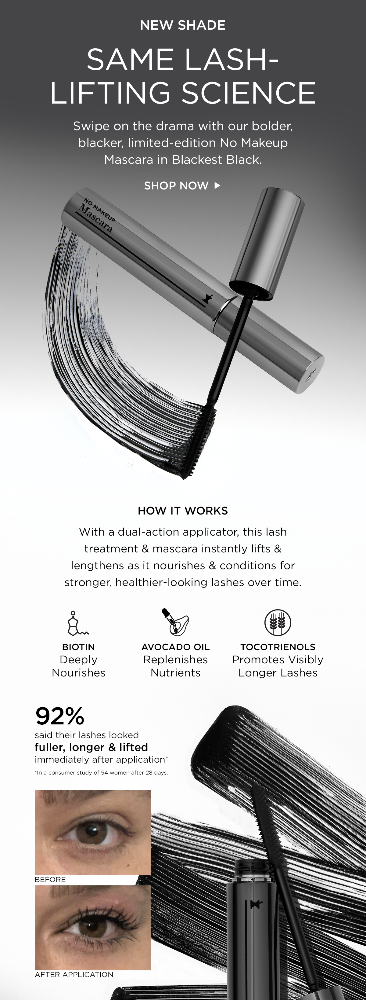 Blackest Black Mascara Launch Email.png