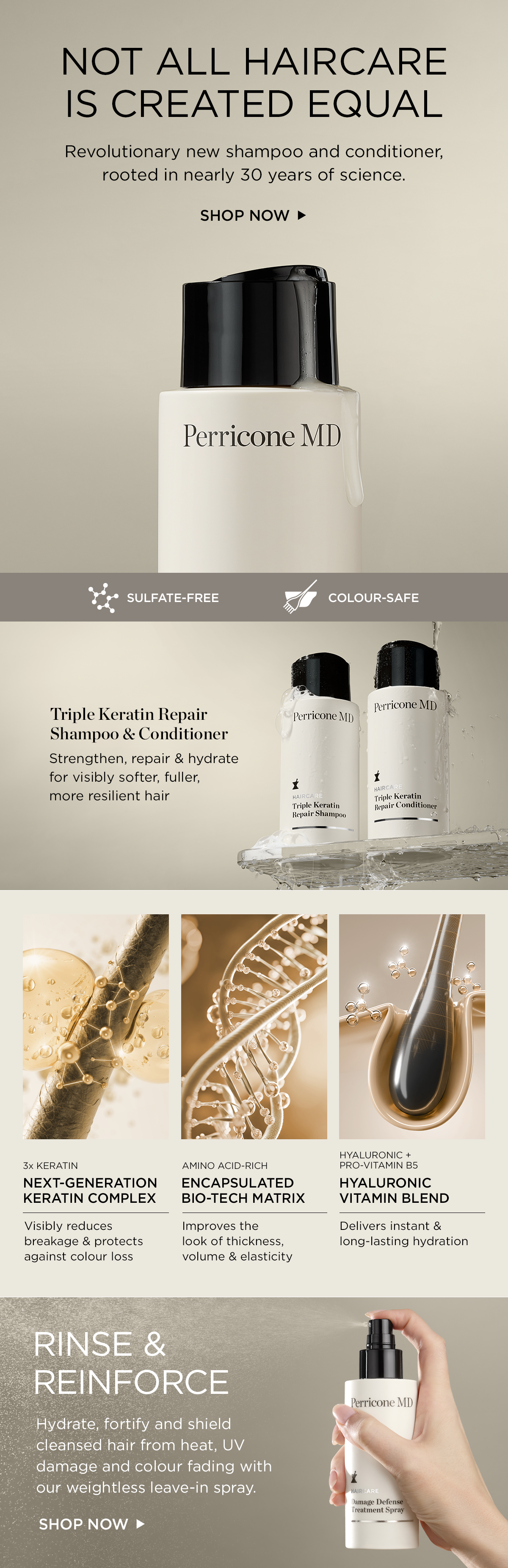 Haircare Launch Email 2.png