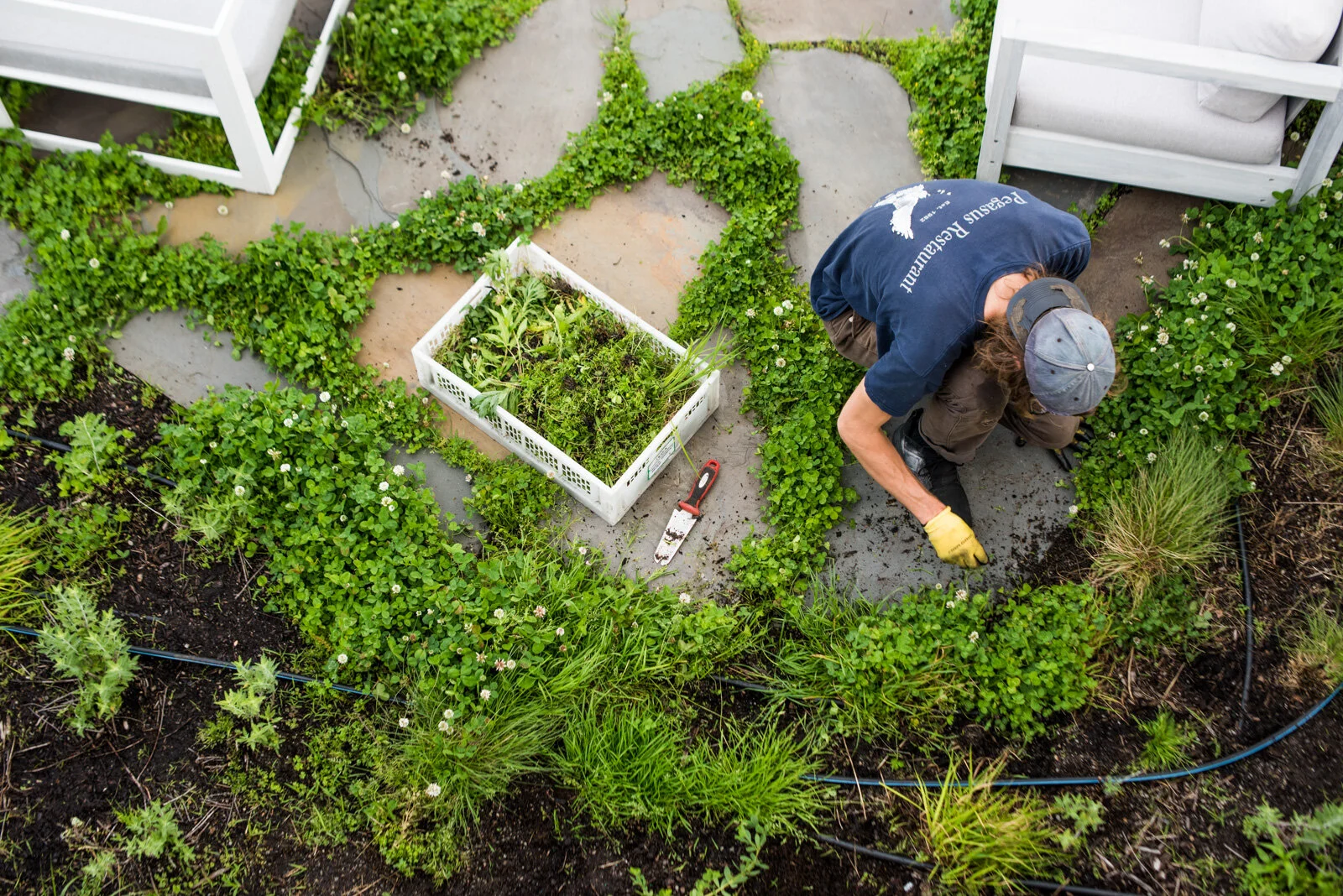 951 Madison Ave (2) Rizzo 2019.jpg