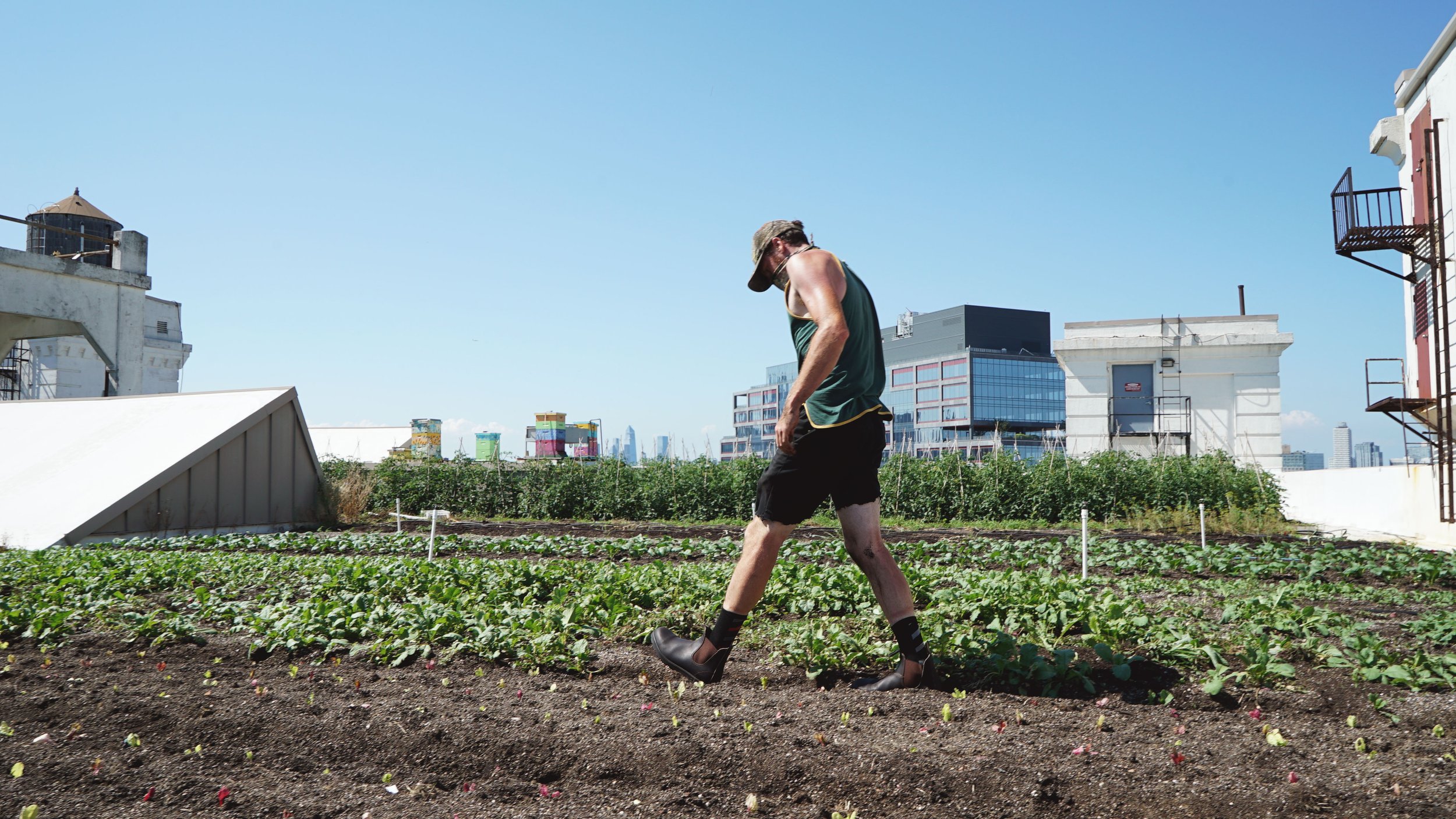 SOLD OUT! FARMER FOR A DAY: HANDS-ON ROOFTOP FARMING WORKSHOP