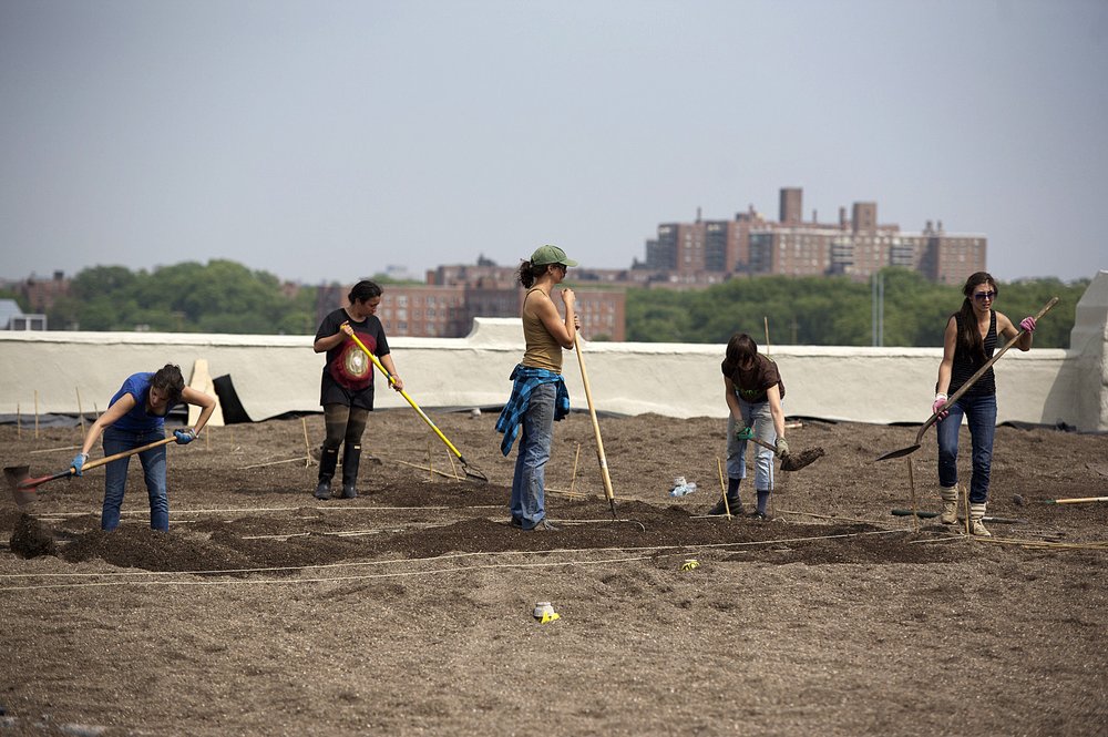 Gwen installing LIC farm.JPG