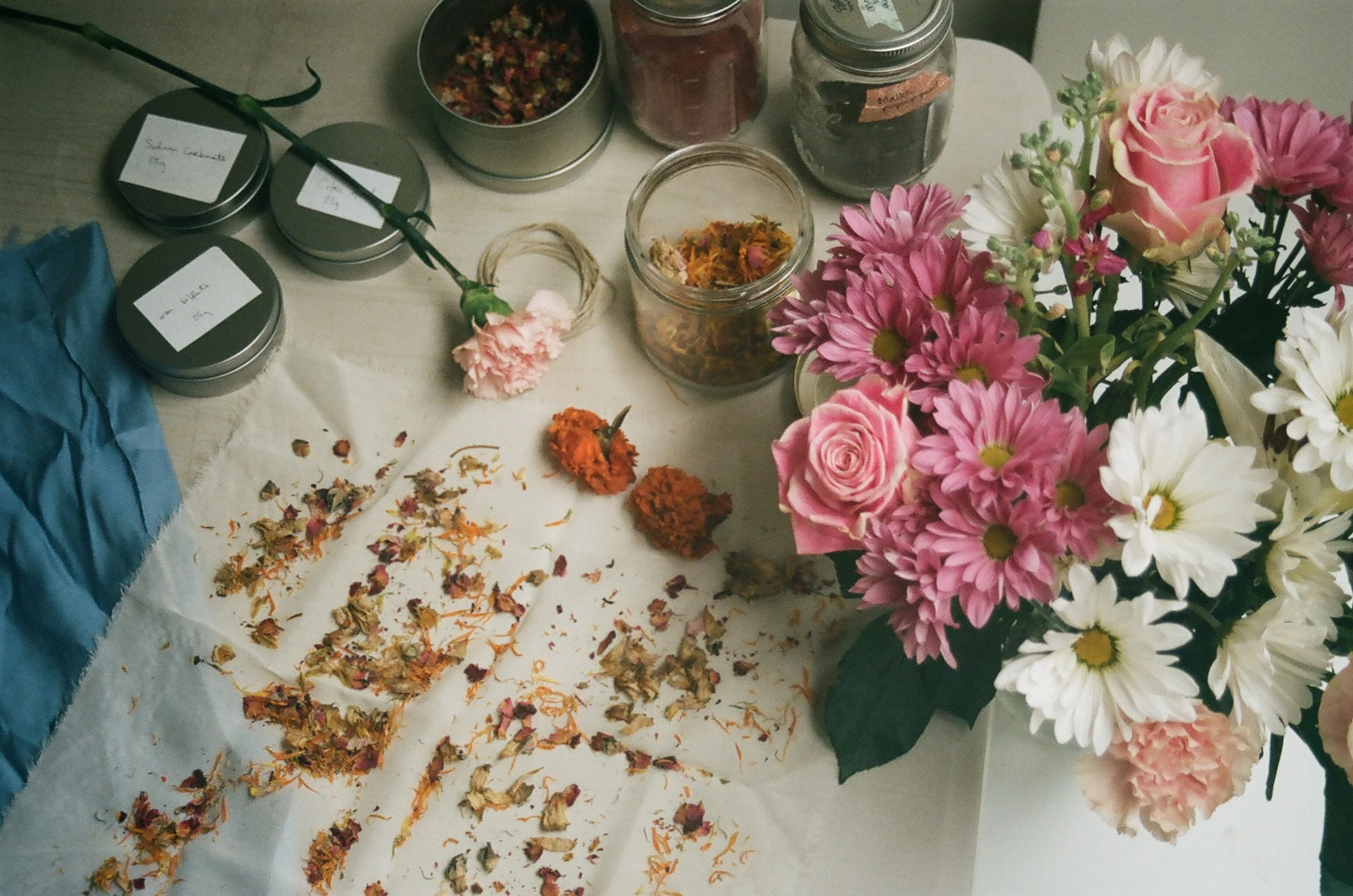 NATURAL DYE: COLORS OF THE EARTH