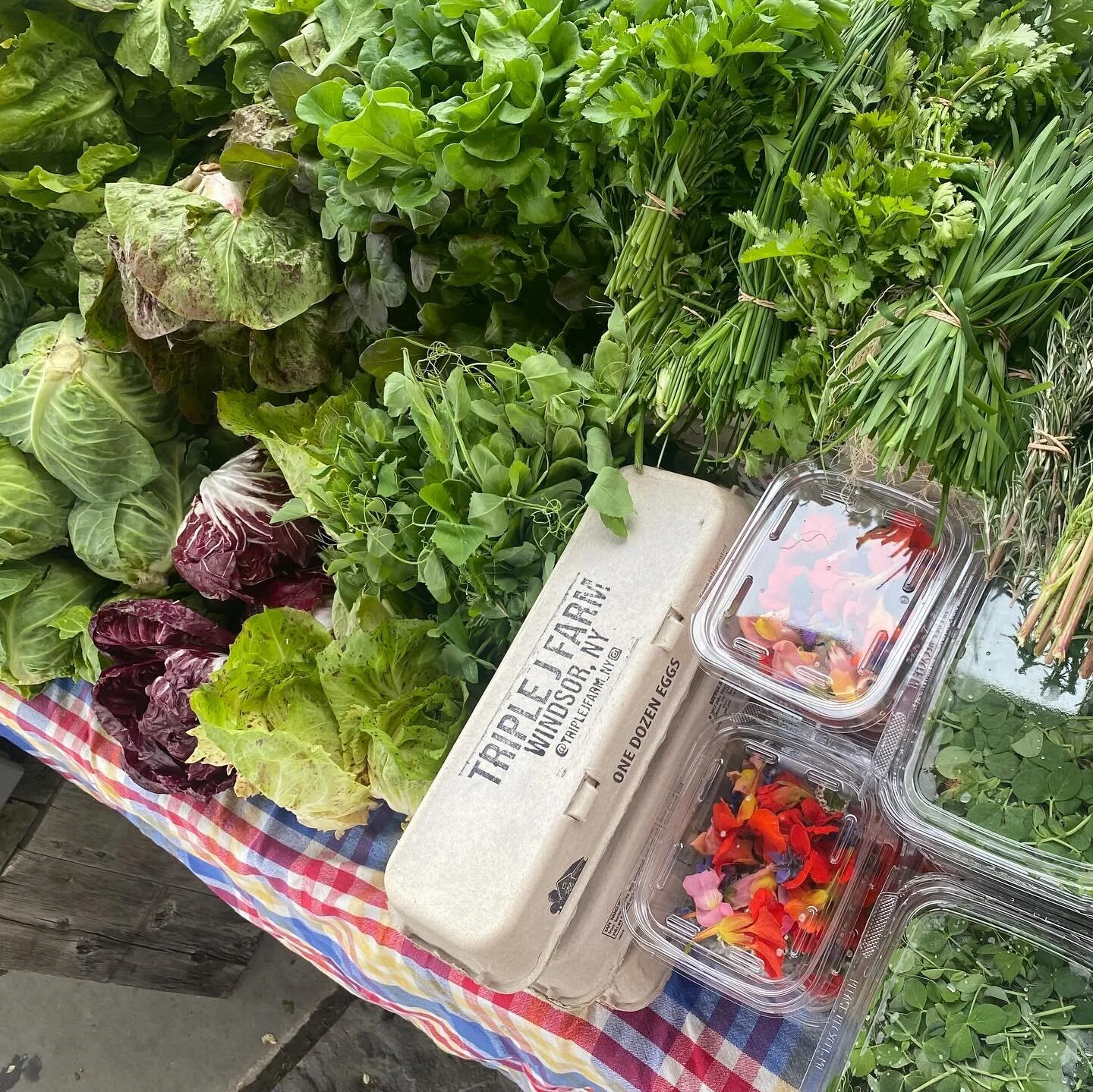 🌱🍳 Hey there, folx! We&rsquo;ve got an EGGciting treat for ya!

Over the years, our CSA members have shared some of their downright delicious recipes, and too many to count included an &lsquo;egg on top.&rsquo; So, naturally, we went on a hunt to f