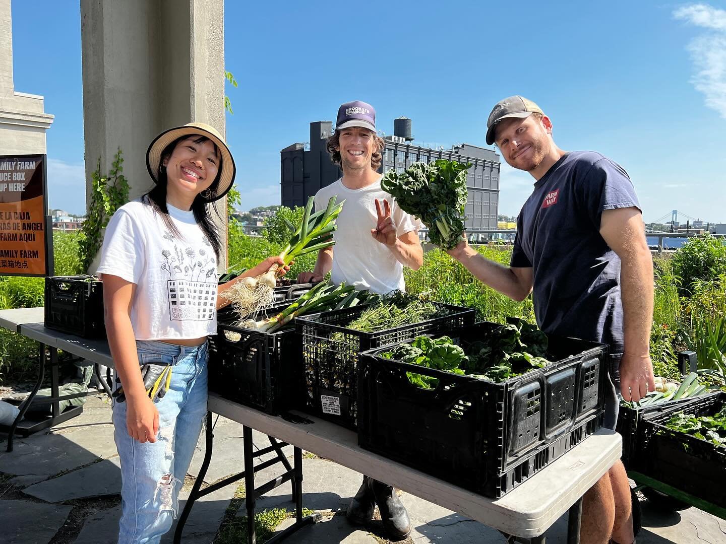 🌱🌇 Hey Sunset Park and surrounding neighbors! 🌇🌱

📢 Guess what? Registration for our Harvest Share program is officially OPEN! 🎉 Dive into a season of fresh, locally grown goodness with our Chinese-vegetable-forward CSA program. It&rsquo;s not 