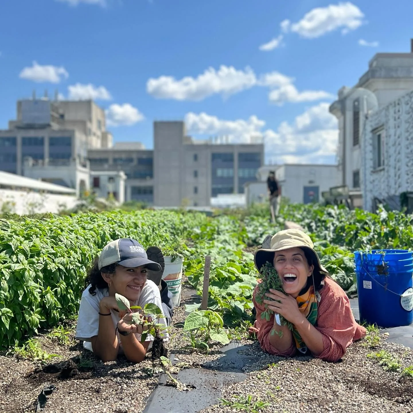 🥬Happy farmers grow better veggies! Well, no scientific proof of that, but come taste for yourself. We&rsquo;ll be at the McGolrick Park farmers market this Sunday, 9am- 2pm. See you there! @downtoearthmkts