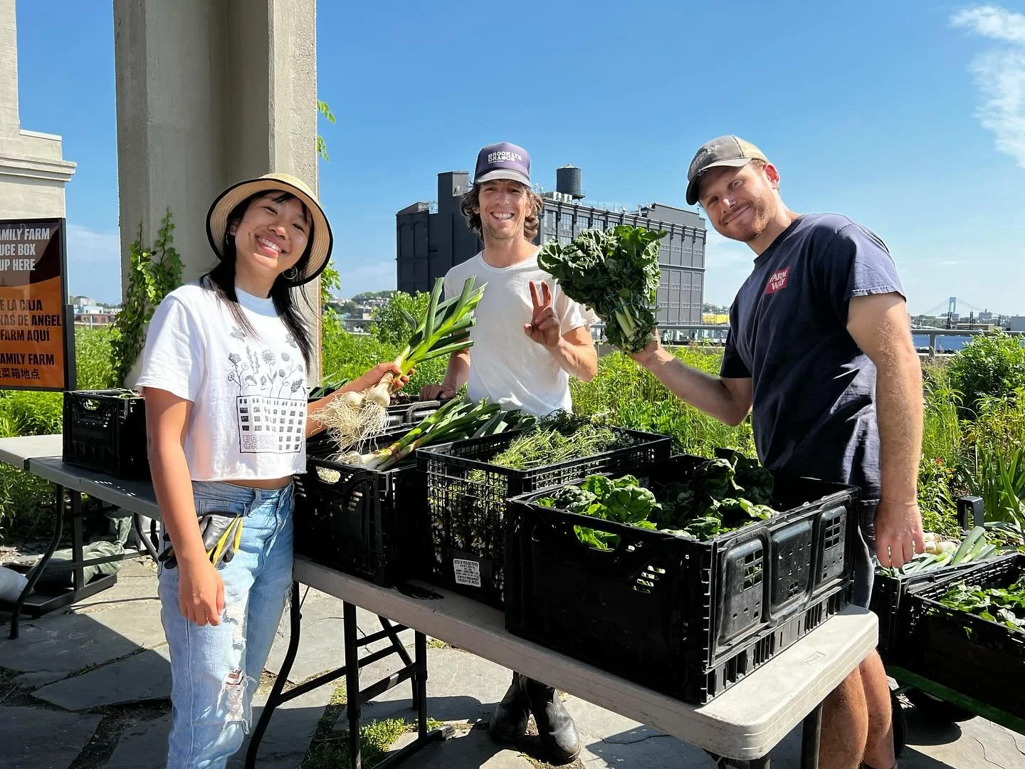 OUR CSA ON CBS!

Hey there! Did you catch us on CBS Saturday Morning? We were absolutely thrilled to share more about Harvest Share, our culturally specific CSA program that we proudly run at our Sunset Park farm in collaboration with 9 amazing commu