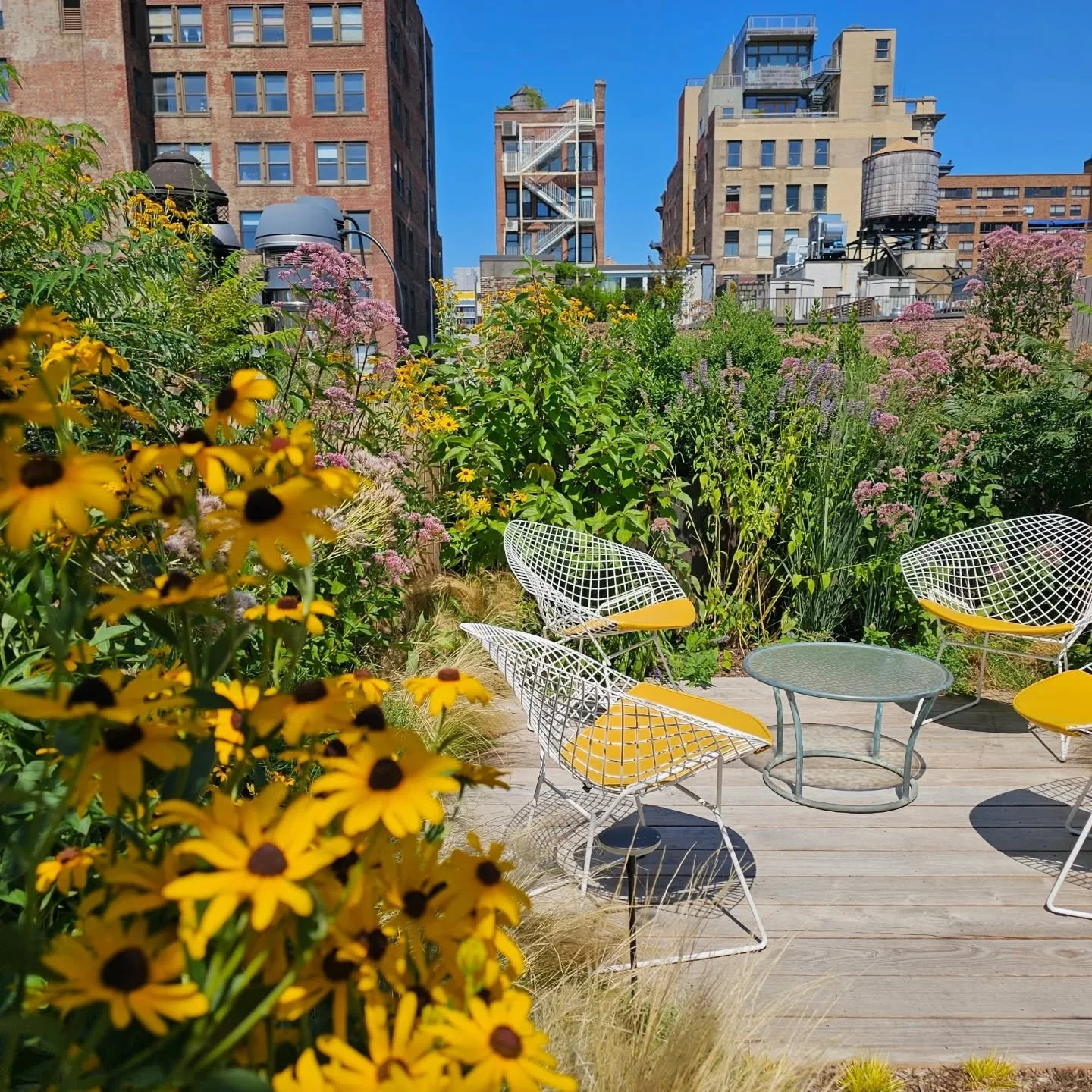 A once-blank rooftop transformed into a lush urban retreat 🌿

Working closely with the design team at Ashe Leandro and The Carpentry Shop Co., this rooftop garden was designed as a place to unwind or gather for alfresco dining. A layered planting pa