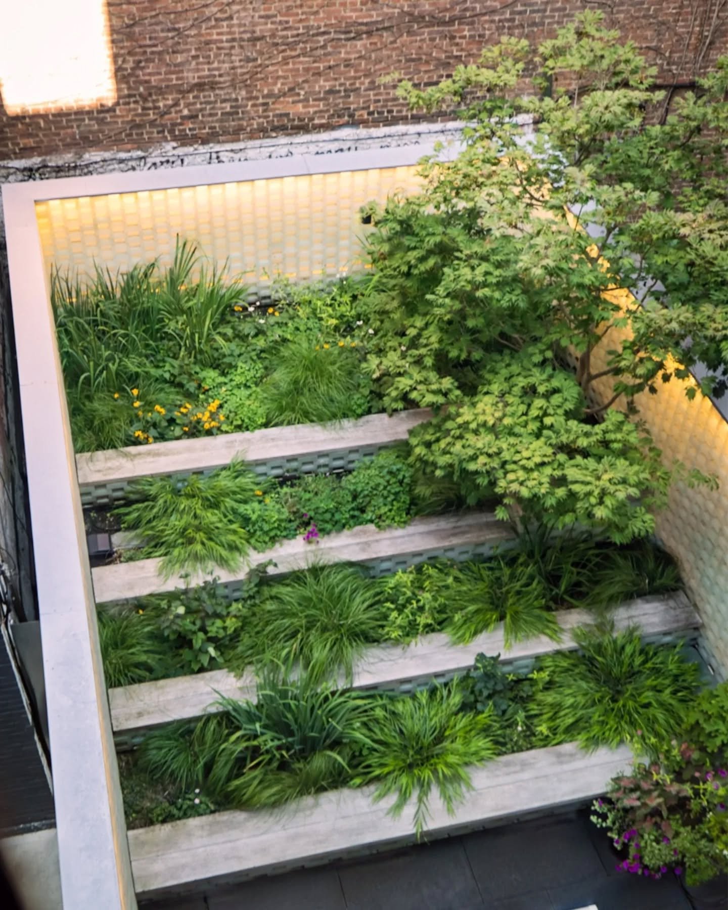 Bringing nature into the workday 🌿

@brooklyngrange designed, built, and continues to maintain the gardens and indoor plants at this SoHo office, transforming an interior courtyard into a lush, layered green space. This project shows how thoughtful 