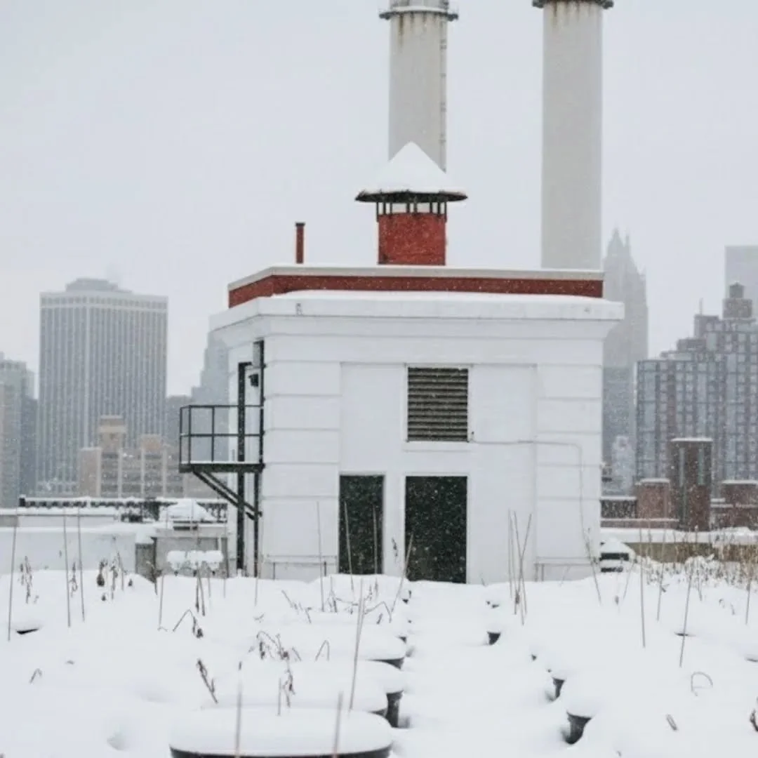 Beneath the snow, life remembers.❄️🌱

Winter can&rsquo;t hide the rooftop magic above the city, under a blanket of snow, the roots are dreaming, the skyline is shining, and the perfect moment, whether a view to savor or an event to host, is waiting 