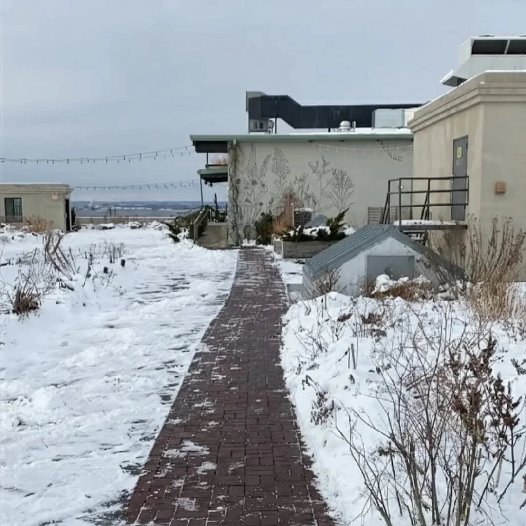 Snow over the city like pure magic ✨❄️🏙️ From rooftop greens to cozy winter views, @brooklyngrange is where fresh flavor meets feel good vibes in every season. Come wander, taste, and discover a little magic above the skyline.

#BrooklynGrange #NYCF