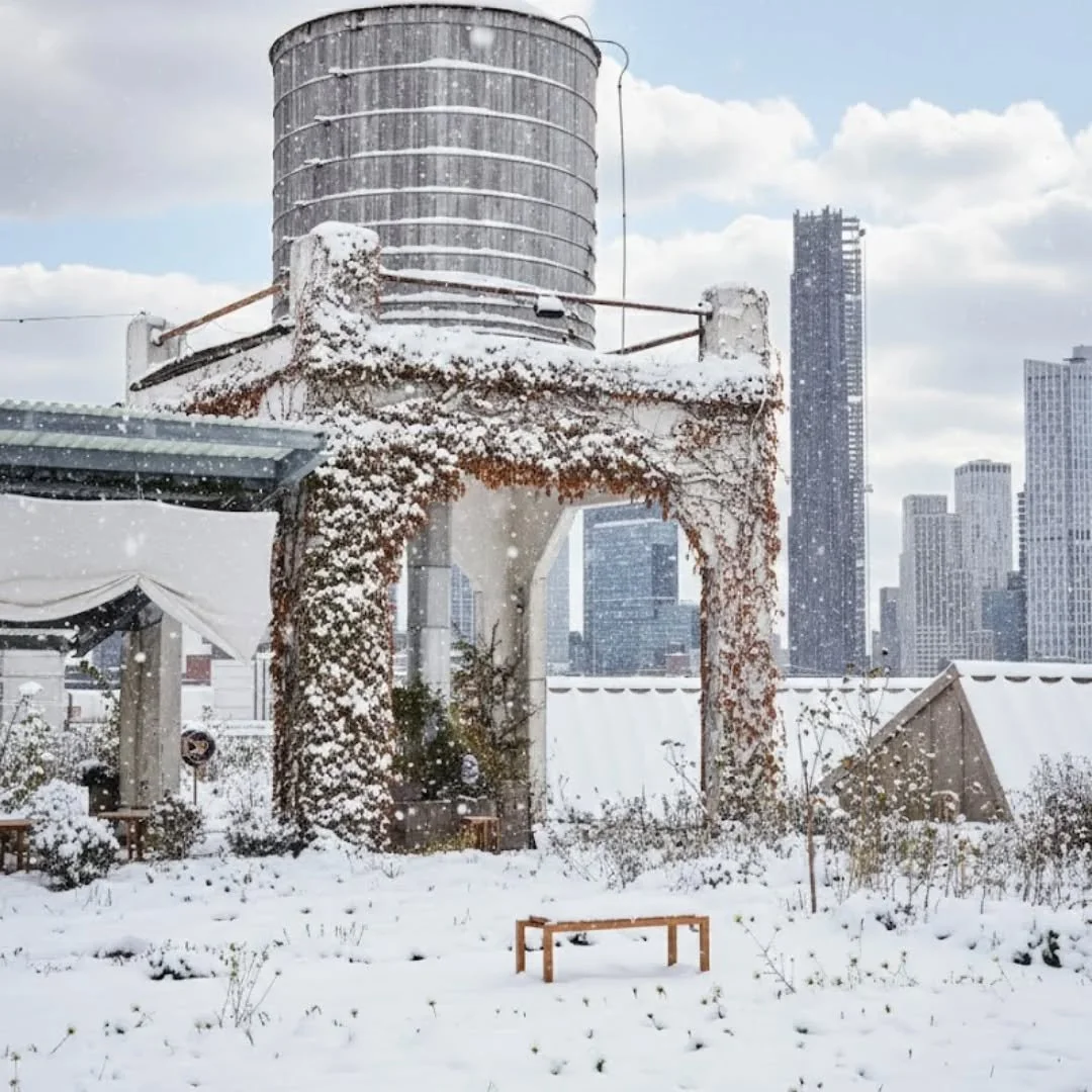 Snow settles softly as the skyline shines beyond ❄️🌿

Winter at @brooklyngrange brings calm beauty, sweeping views, and a dreamy setting for intimate gatherings. Save this for your next NYC event and tag who you&rsquo;d bring ✨

#brooklyngrange #bro