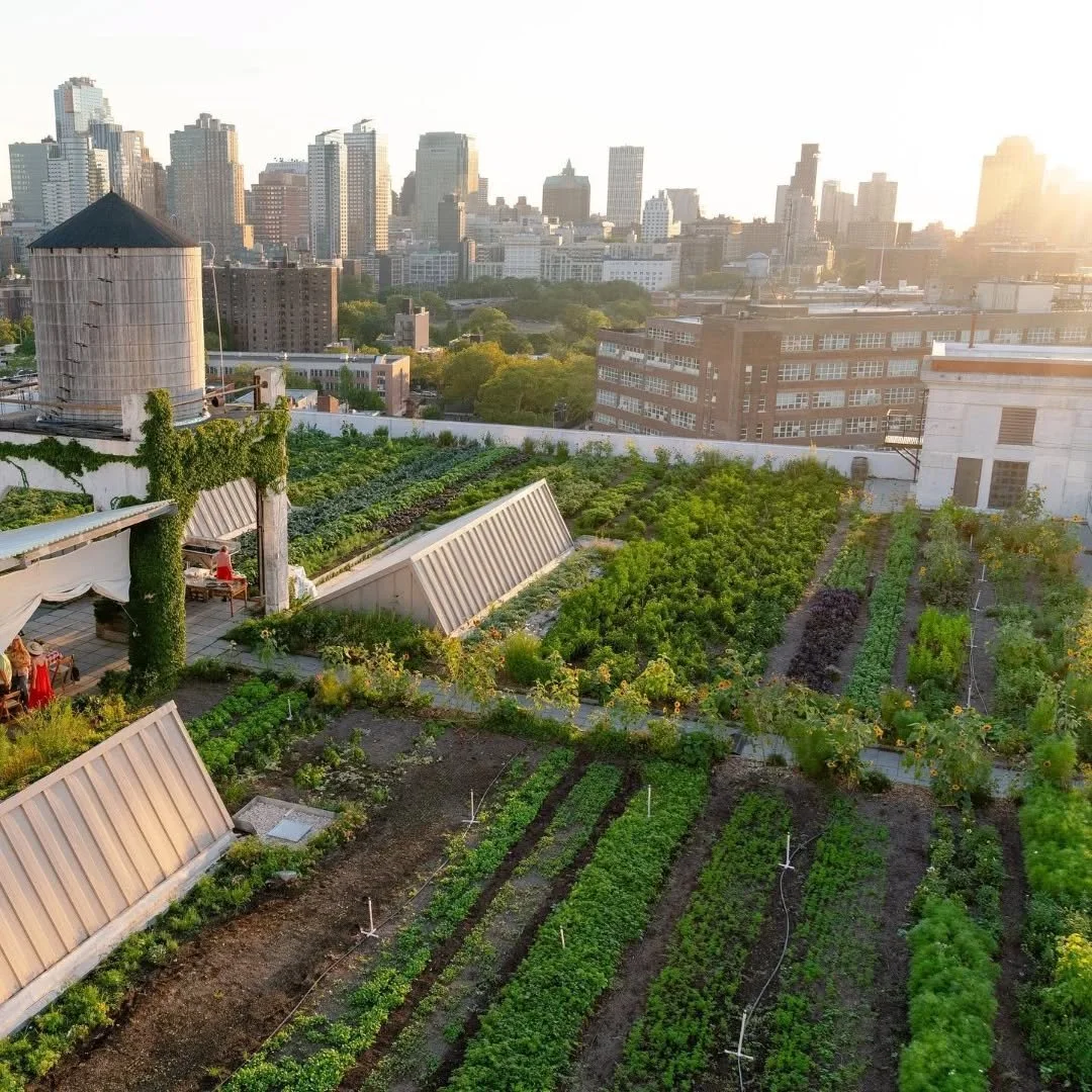 A new chapter is rising with the sunset. 🌇✨

That golden hour glow makes everything feel electric the kind of rooftop energy you feel before you even step off the elevator. @brooklyngrange is setting the stage. If you&rsquo;re all about the views, t