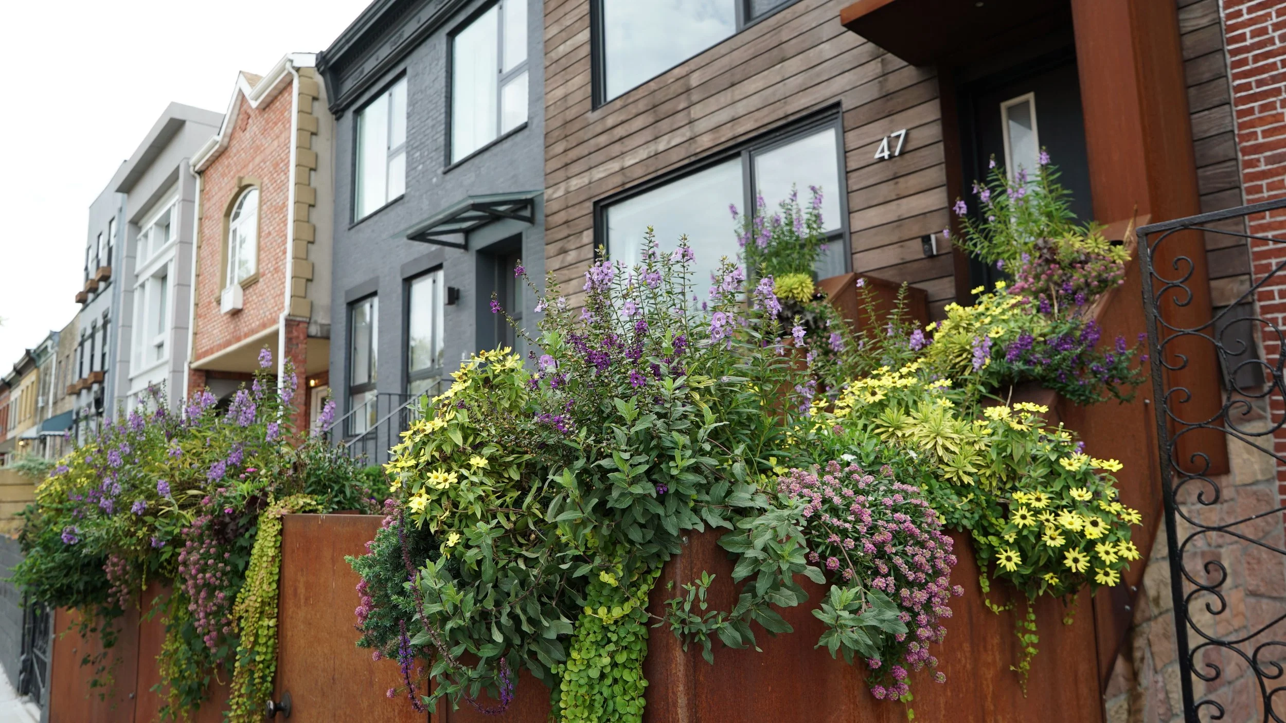 Red Hook Stoop + Garden